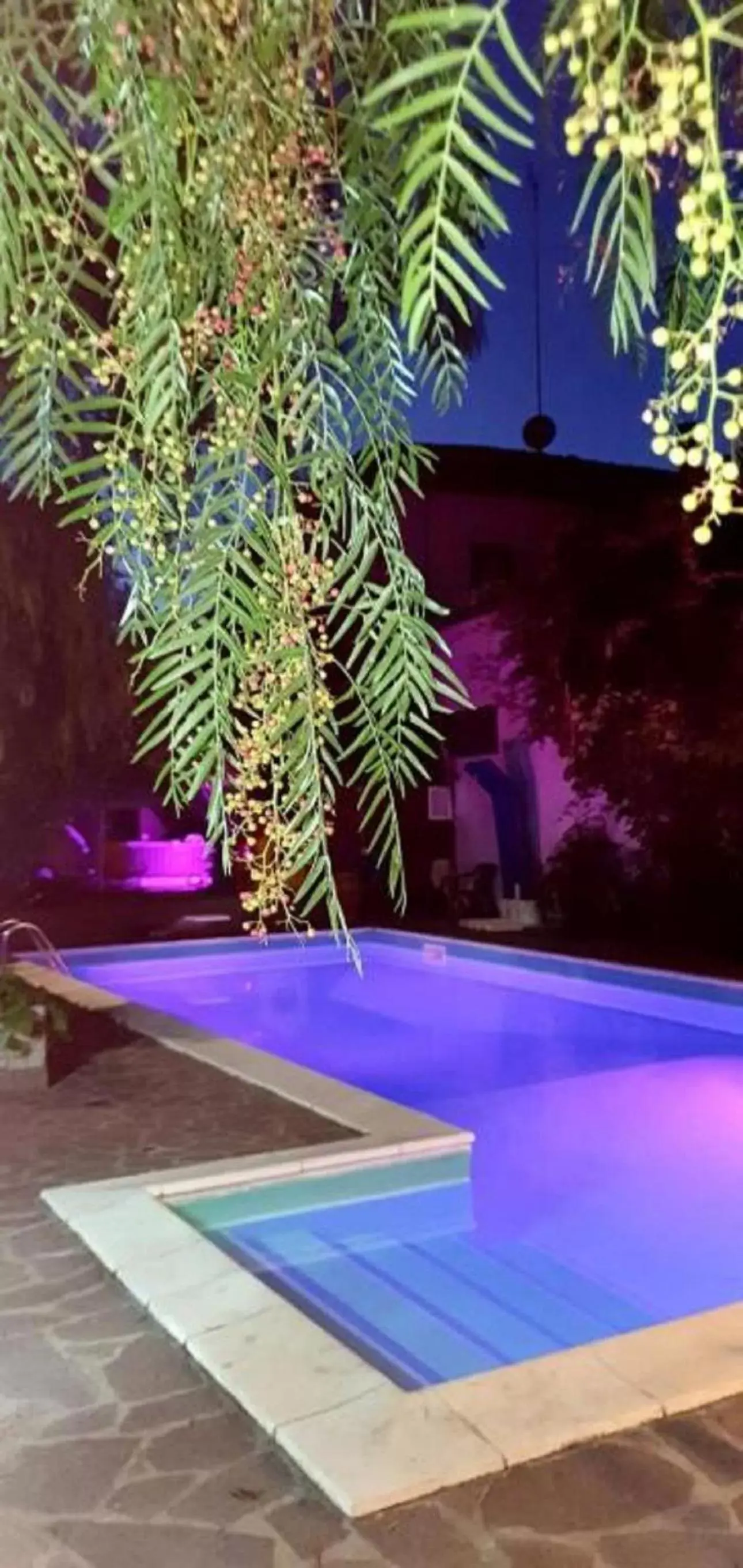 Night, Swimming Pool in B&B Il Sognatore