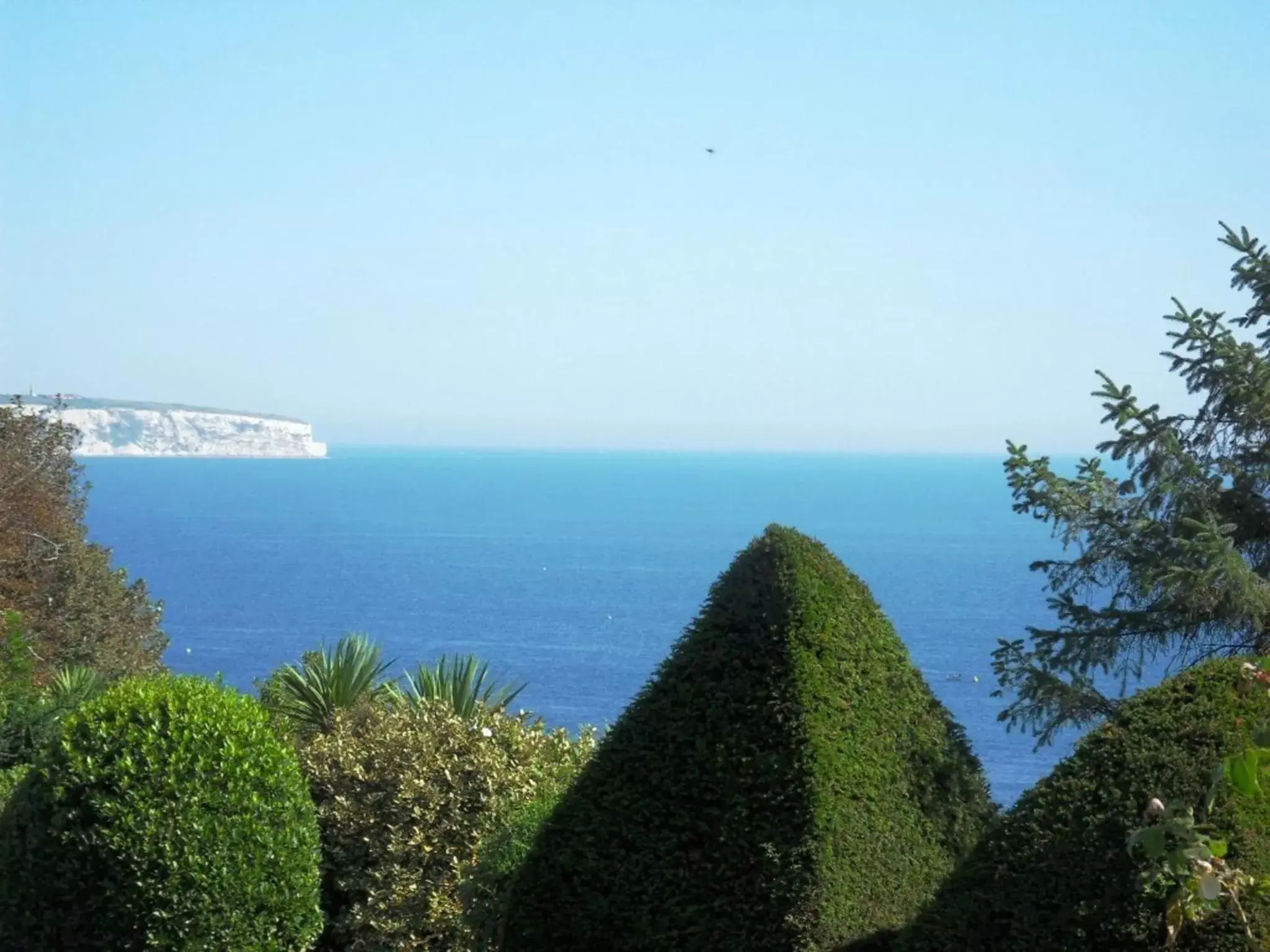 Area and facilities, Sea View in Luccombe Hall Hotel