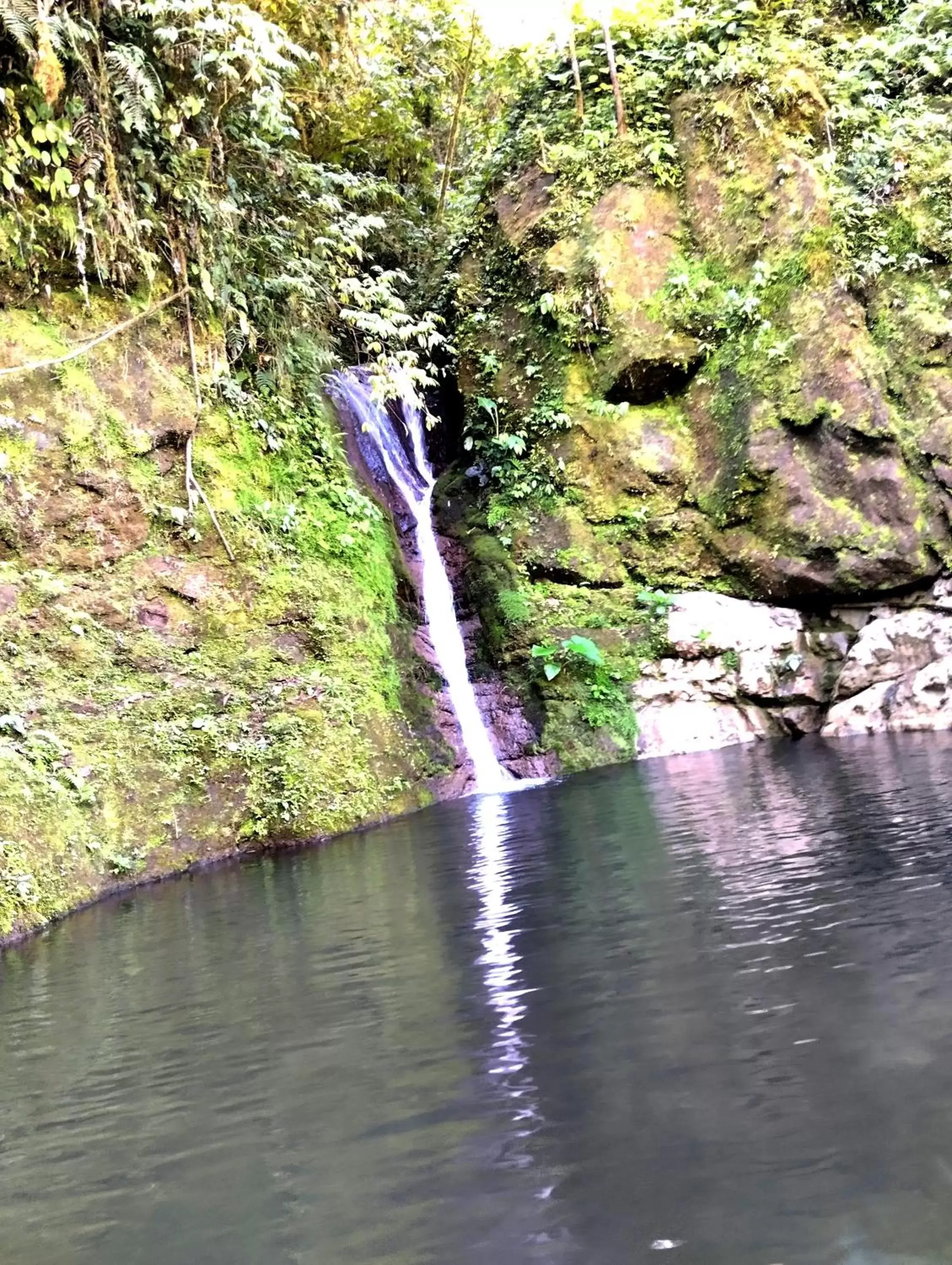 Swimming pool, Natural Landscape in Hotel Rivel - Adventure & Nature Retreat