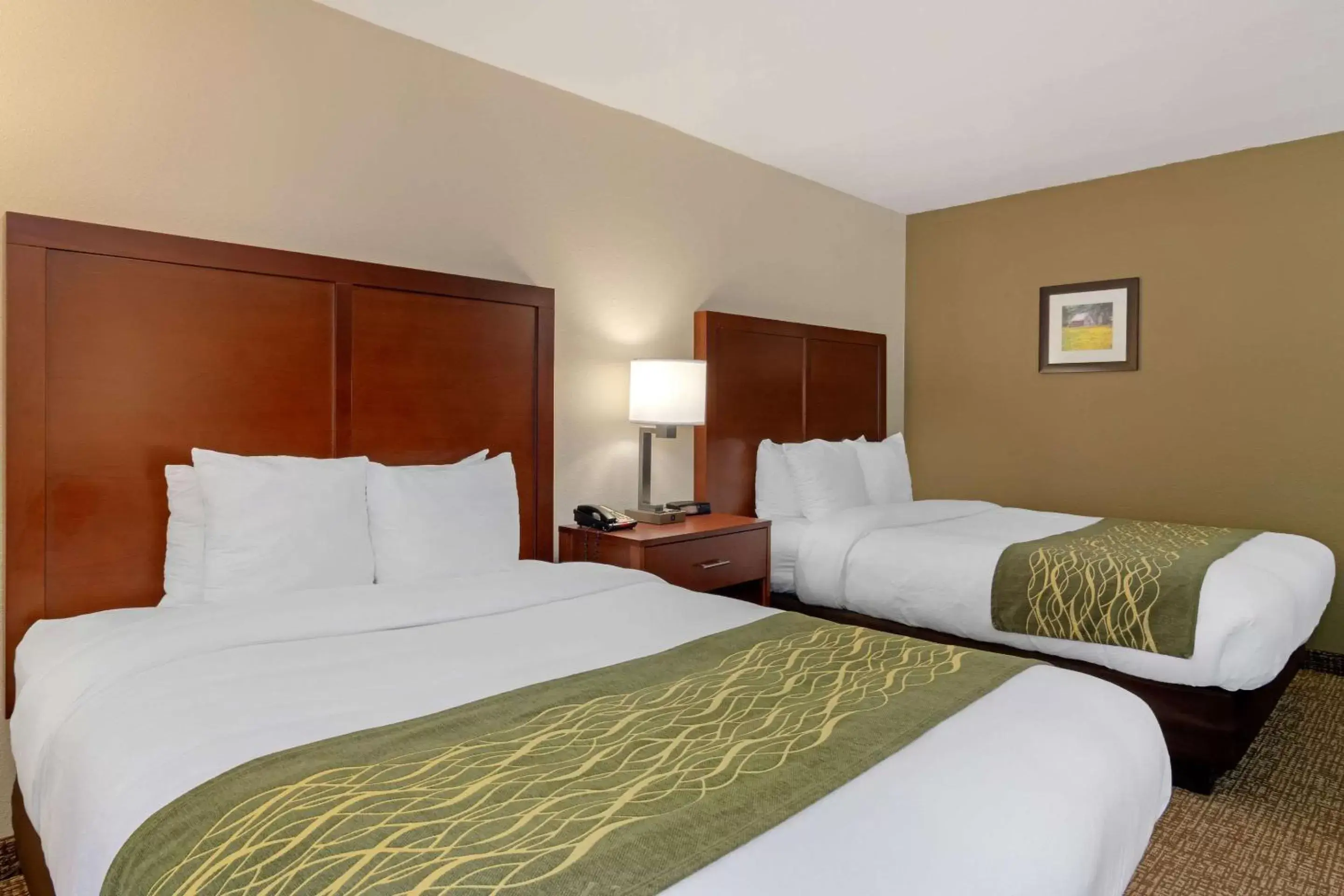 Photo of the whole room, Bed in Comfort Inn Douglasville - Atlanta West