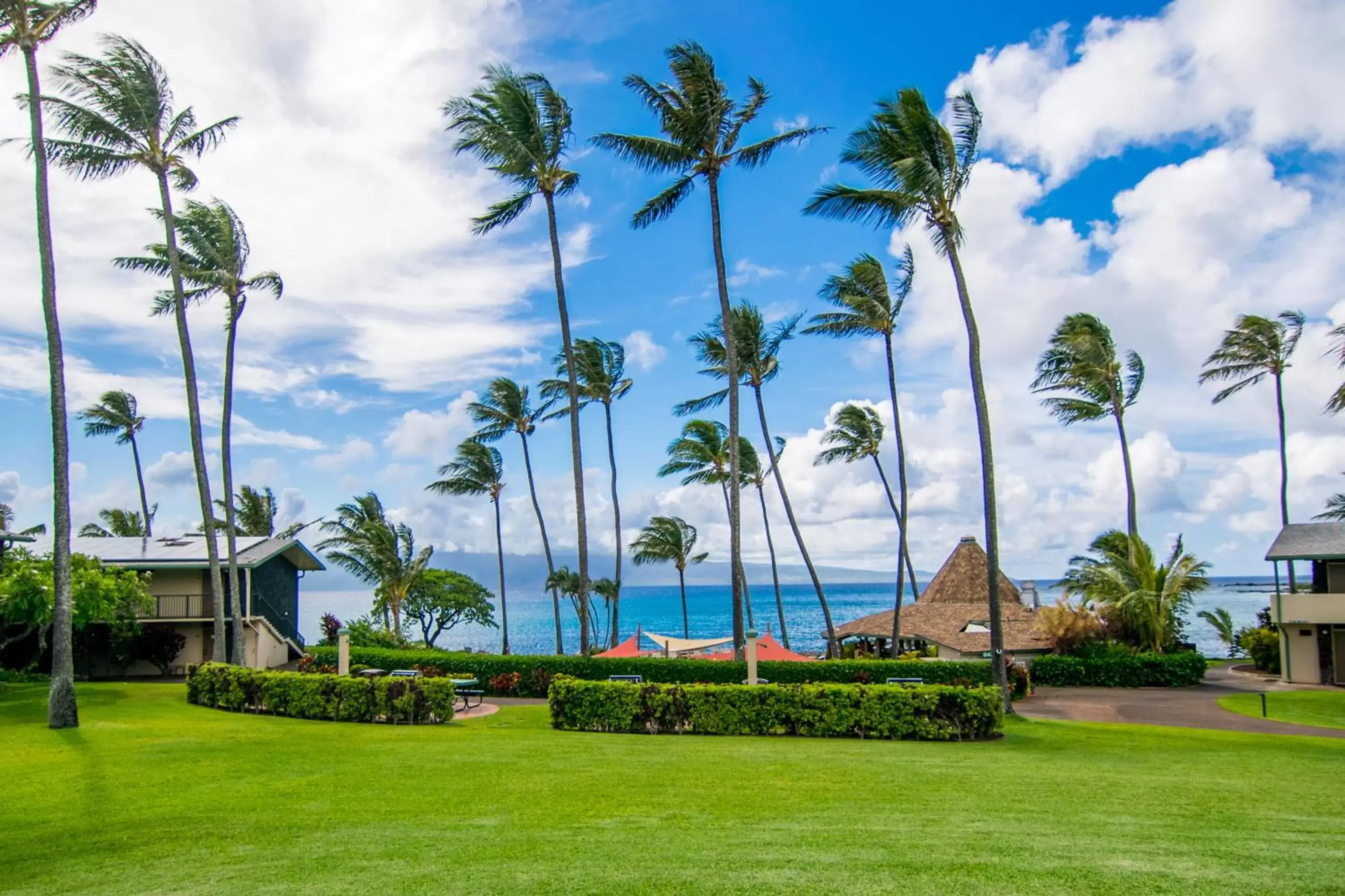 Garden in Napili Shores Maui by OUTRIGGER - No Resort & Housekeeping Fees