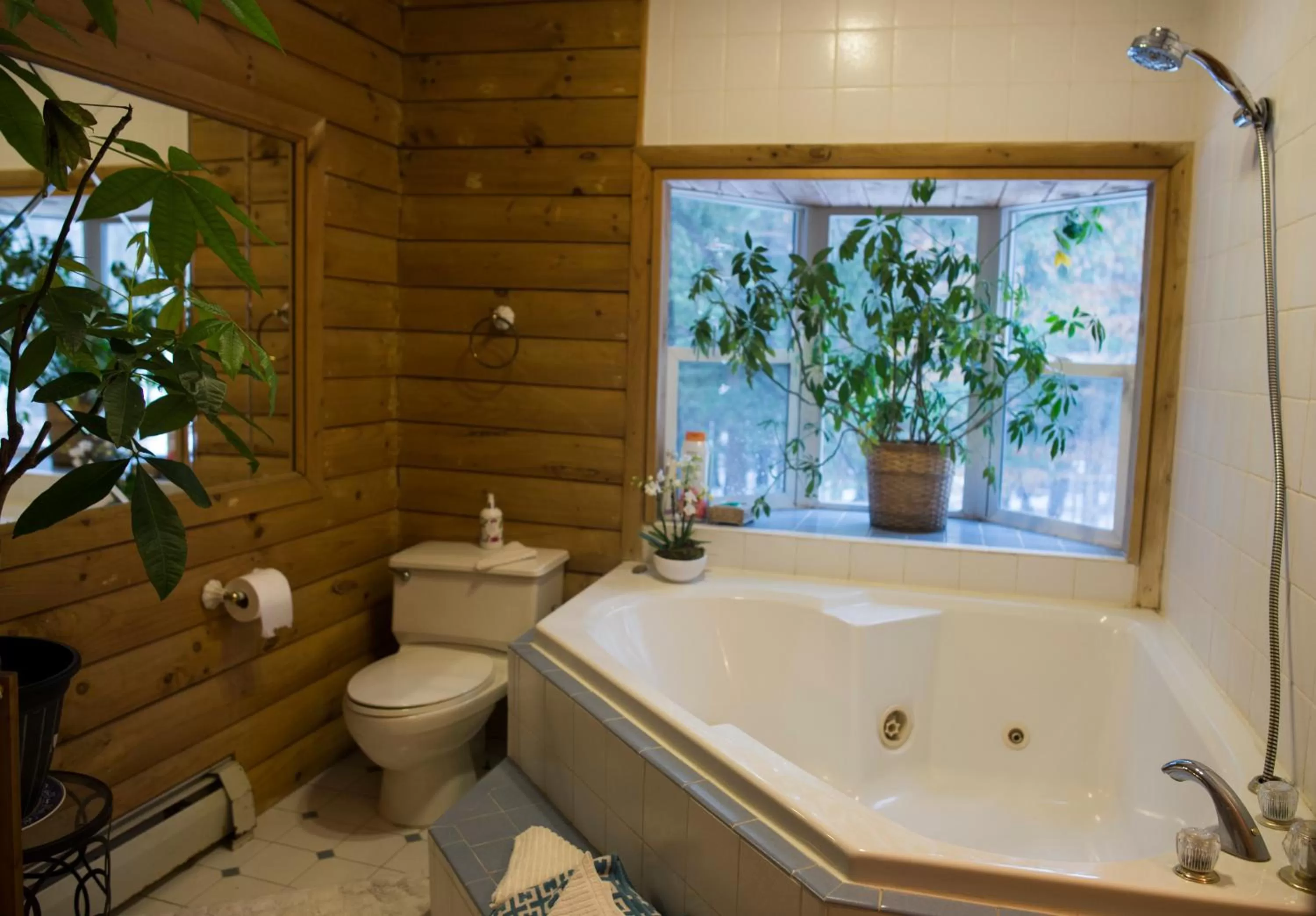 Bathroom in Log Country Inn Bed and Breakfast of Ithaca