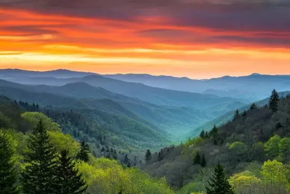 Natural Landscape in The Trailhead Condominiums