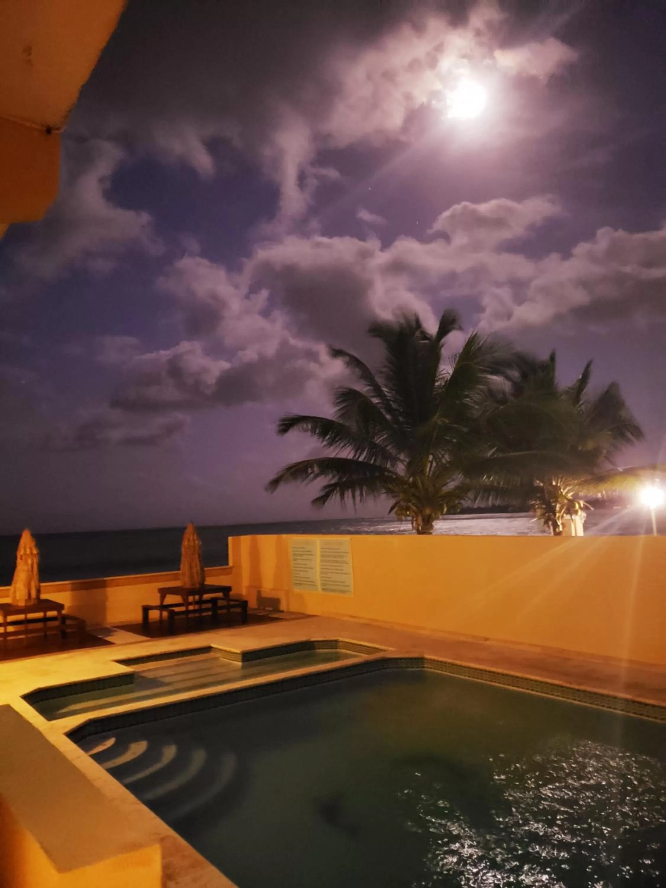 Swimming pool in Selva Boutique Hotel - Luquillo Oceanfront Retreat - Adults Only