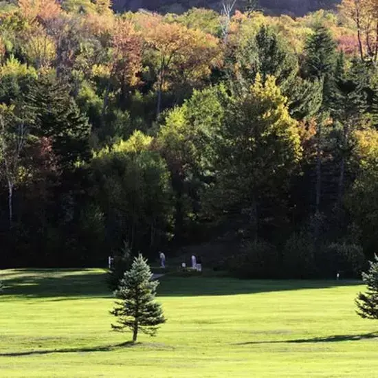 Golfcourse in Snowy Owl Inn