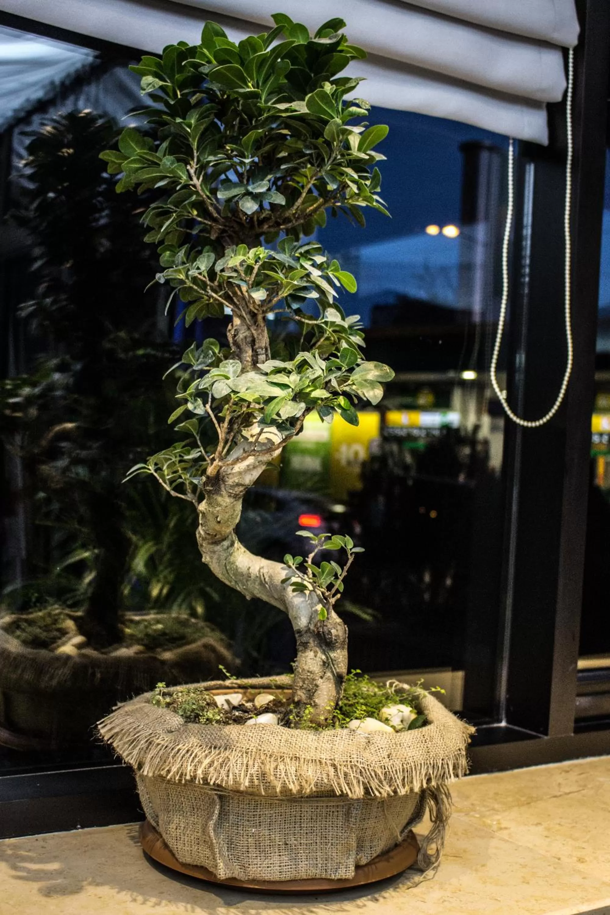 Lobby or reception in BG Palace Hotel