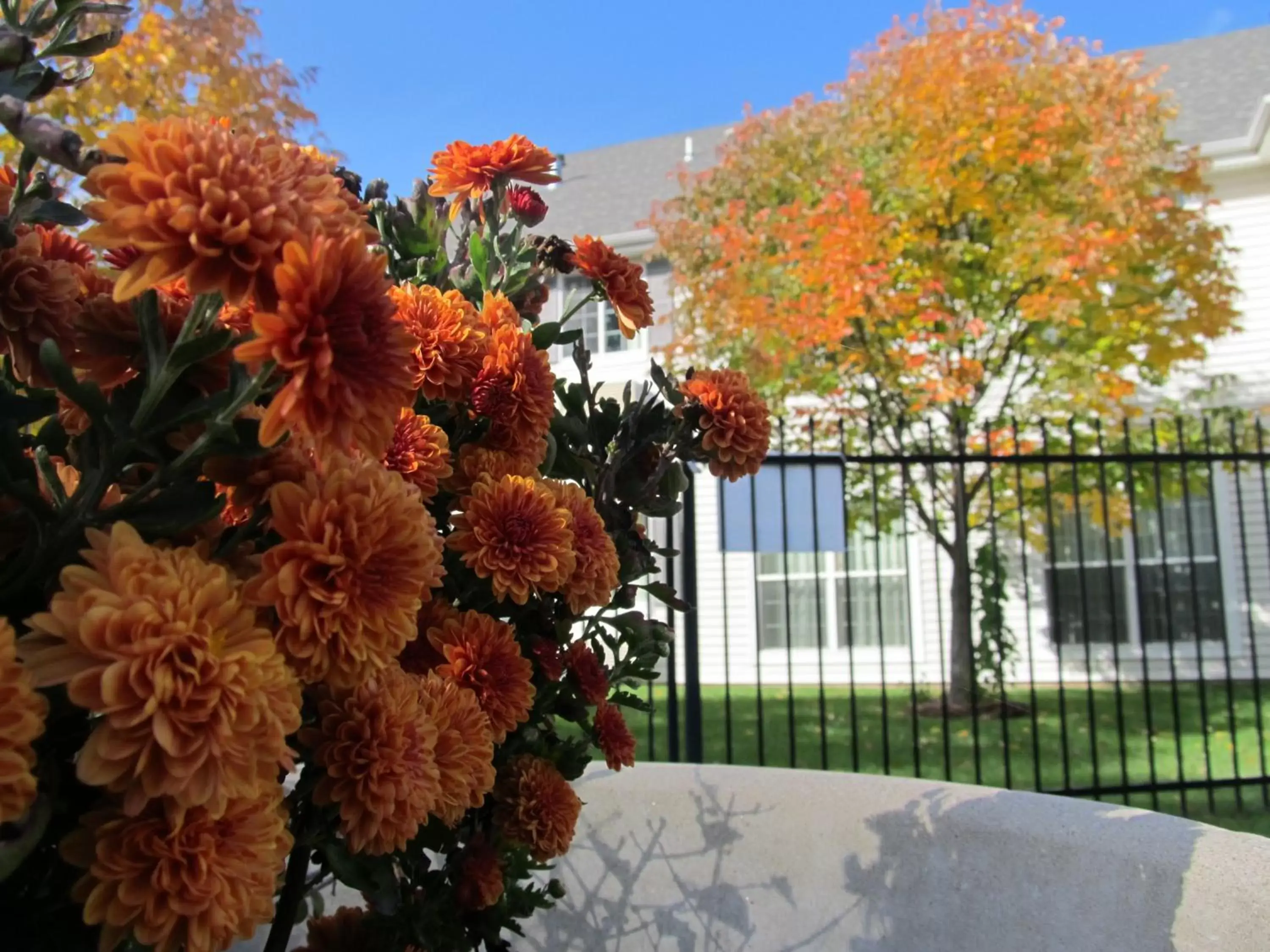 Facade/entrance in Baymont by Wyndham Wichita East