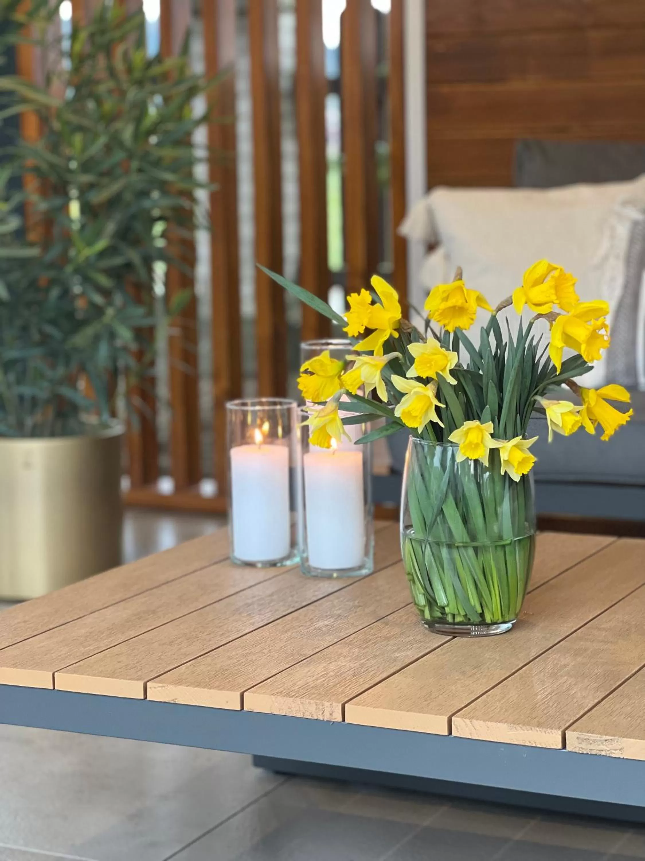 Garden in Villa Gorczański Zakątek Agroturystyka