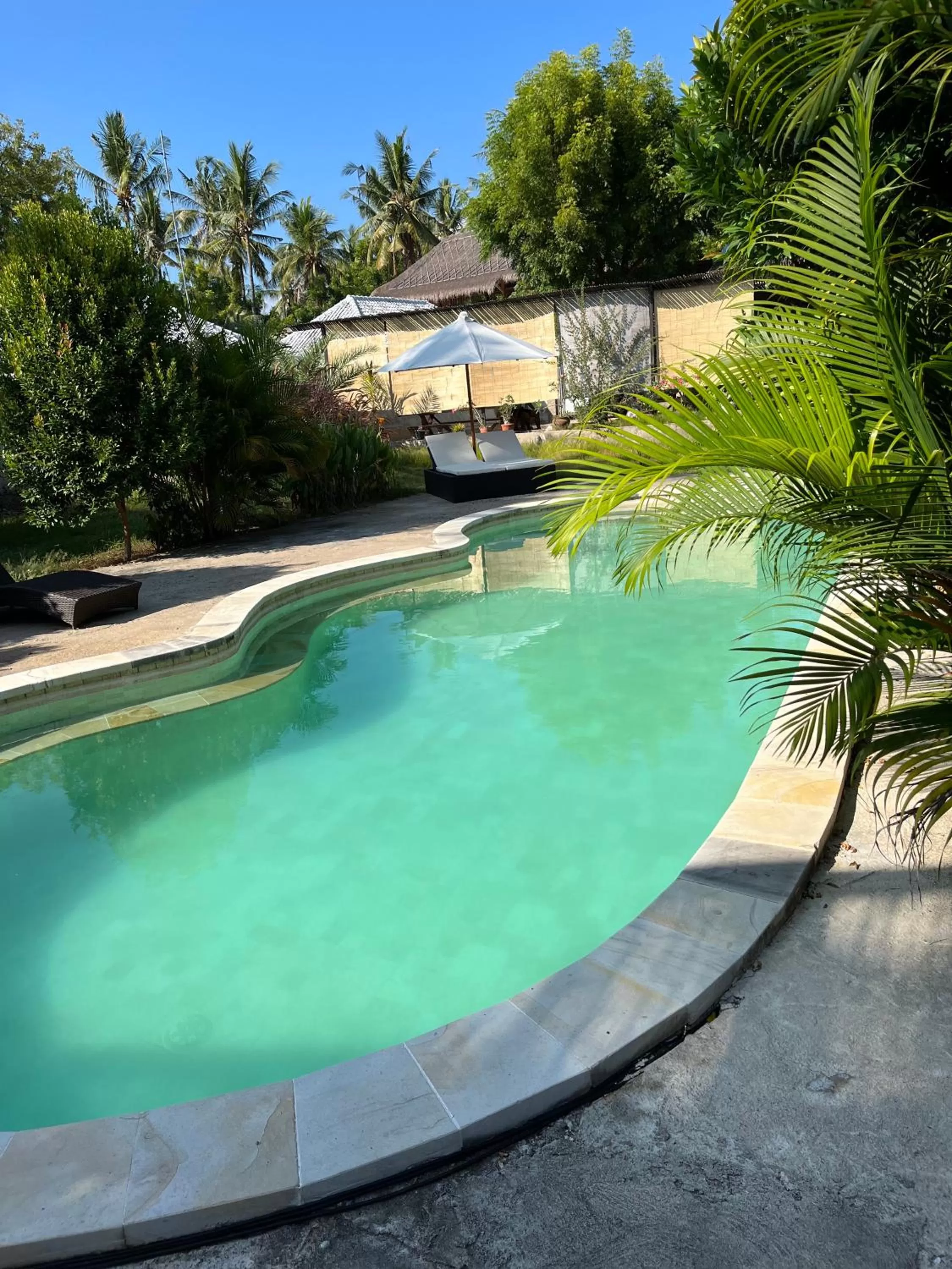 Swimming pool in Omala Village Gili Air