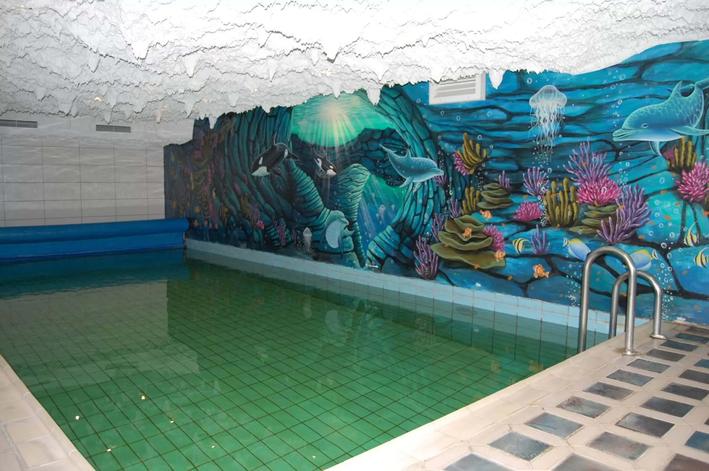 Swimming Pool in Hotel Friesengeist