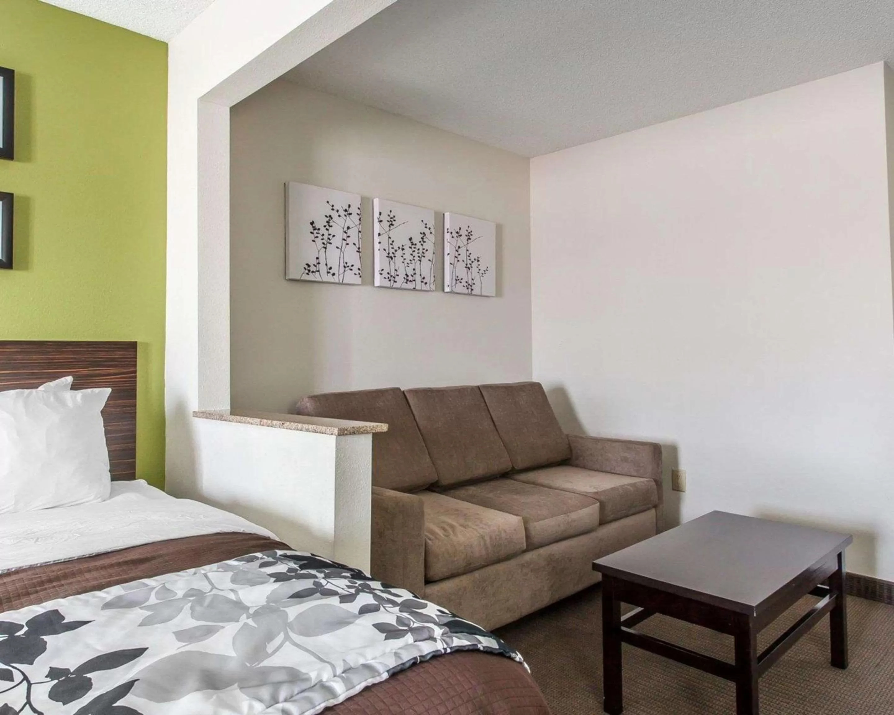 Photo of the whole room, Bed in Sleep Inn & Suites Near I-90 and Ashtabula