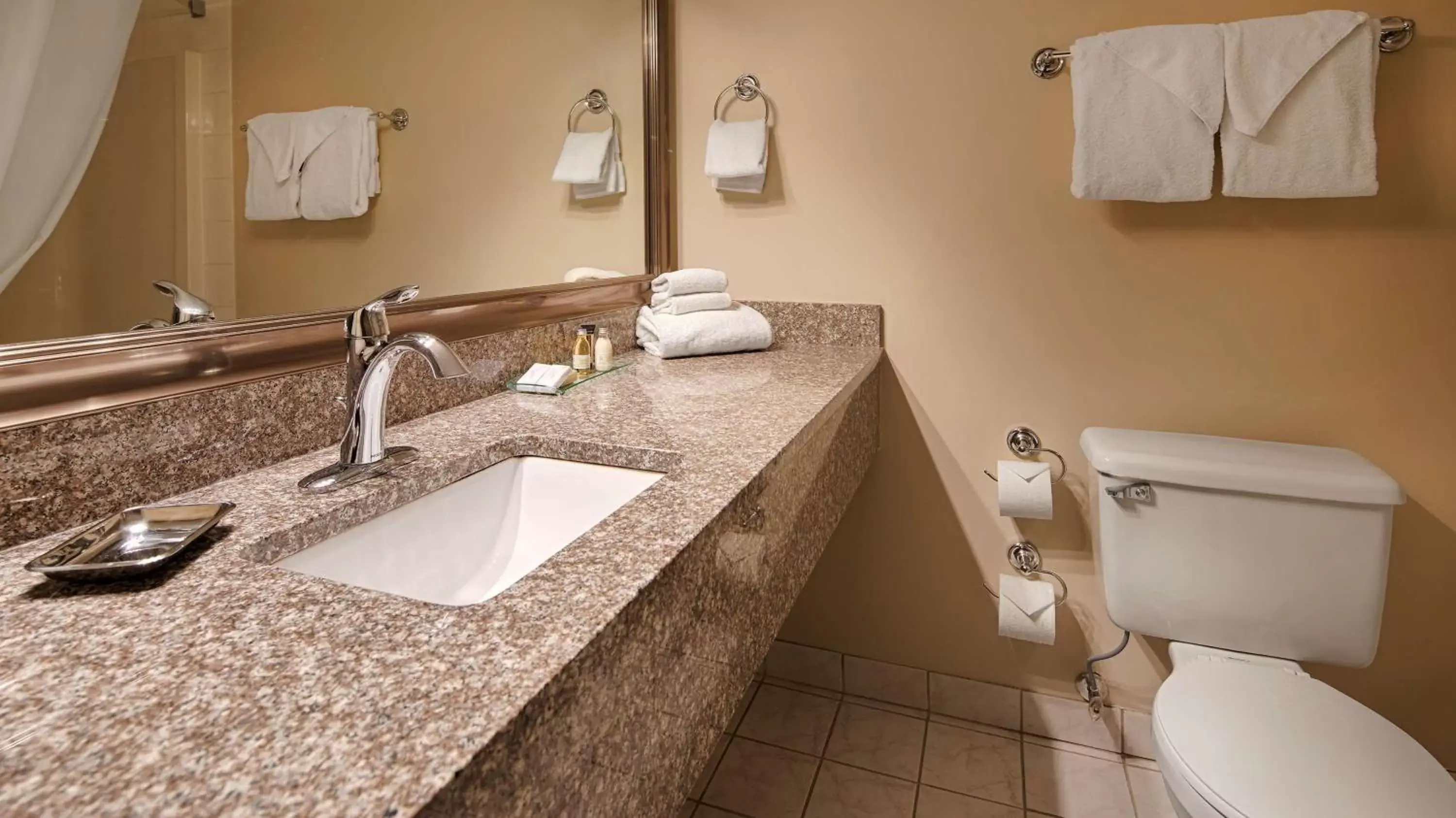 Bathroom in Best Western Mountainview Inn