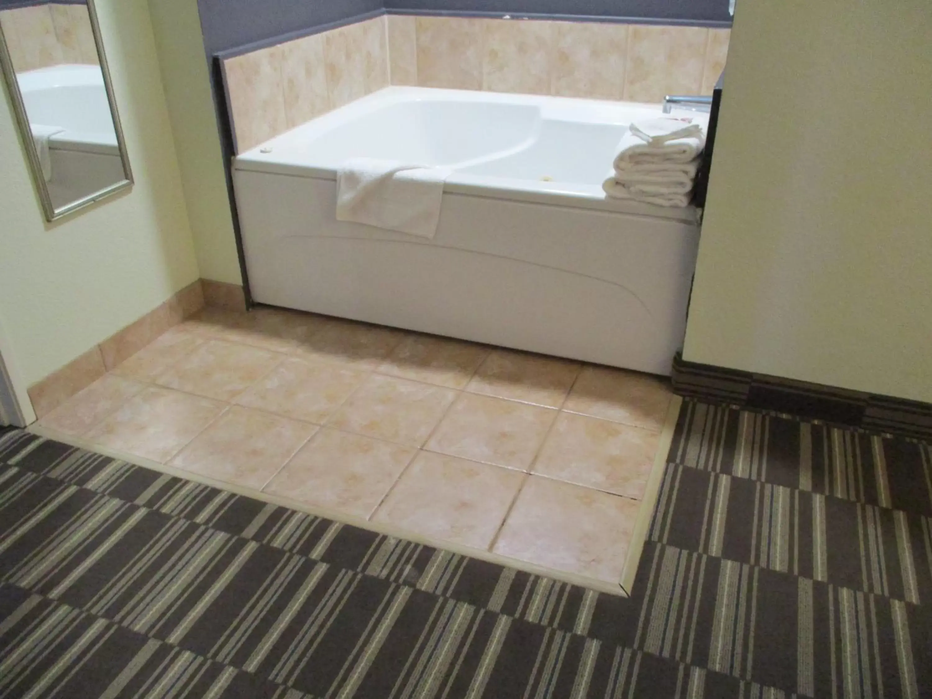 Bathroom in Microtel Inn and Suites - Inver Grove Heights