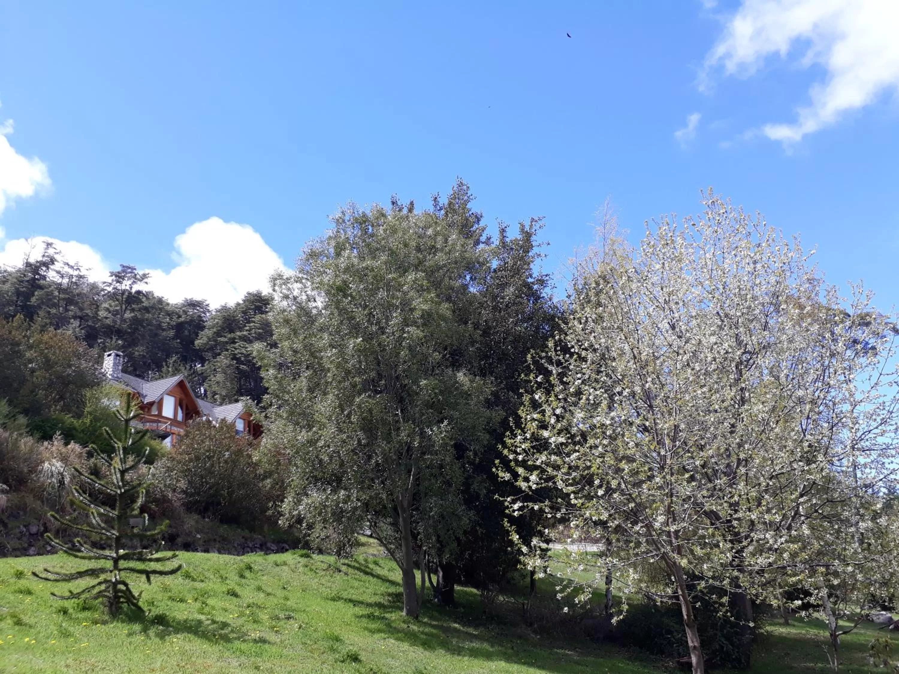 Natural landscape in Amigos del Bosque