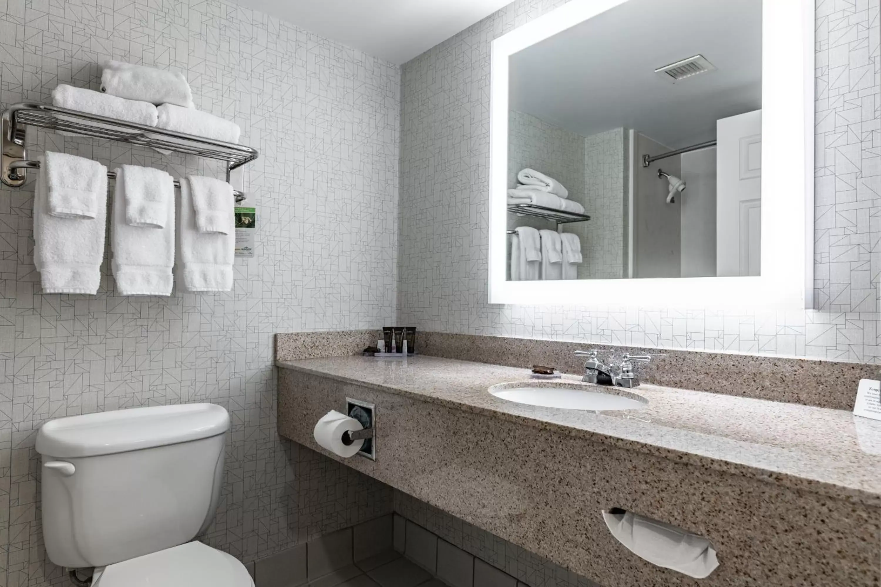 Bathroom in Wingate by Wyndham Parkersburg - Vienna