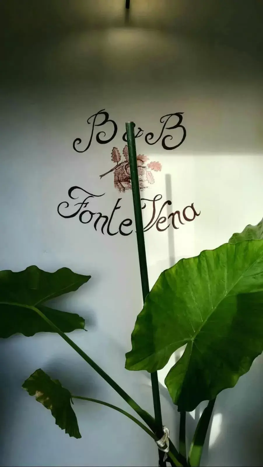Logo/Certificate/Sign in B&B Fonte Vena