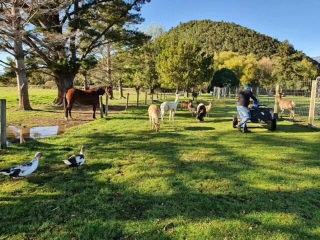 Animals in Oasis Motel & Holiday Park Turangi