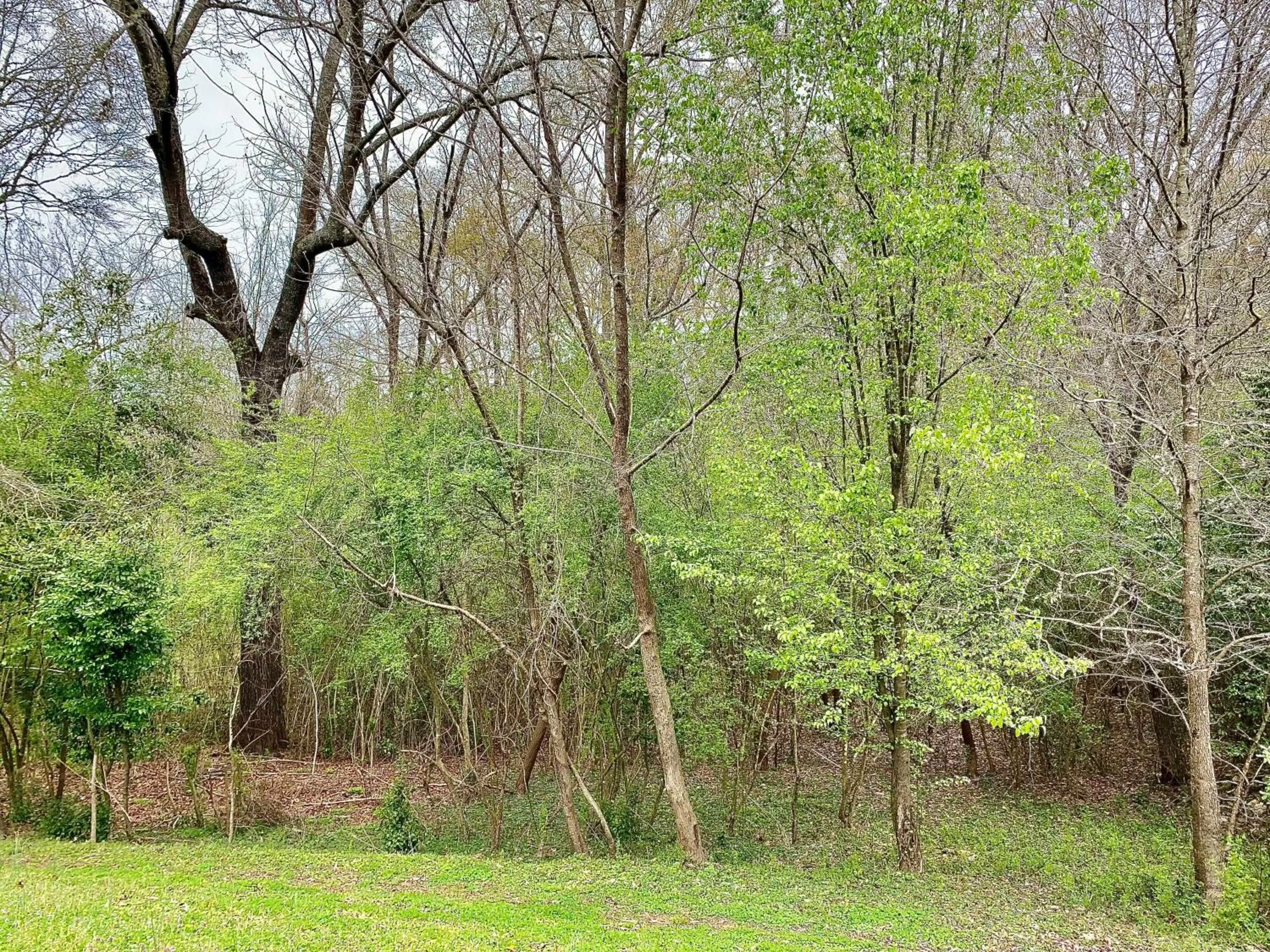 Natural landscape in Hogan House Bed and Breakfast at Rose Hill
