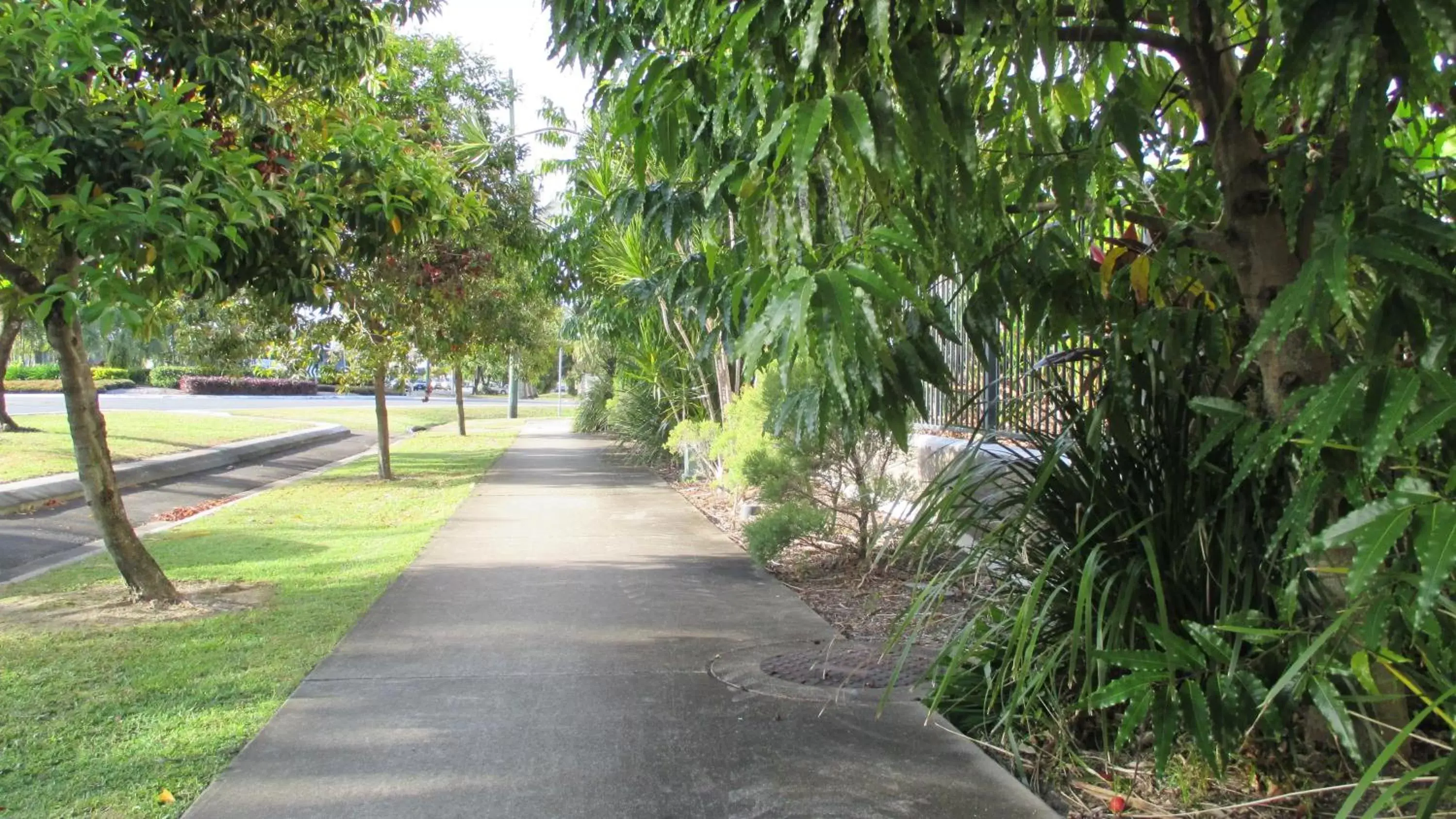 View (from property/room), Garden in Edge Apartments Cairns