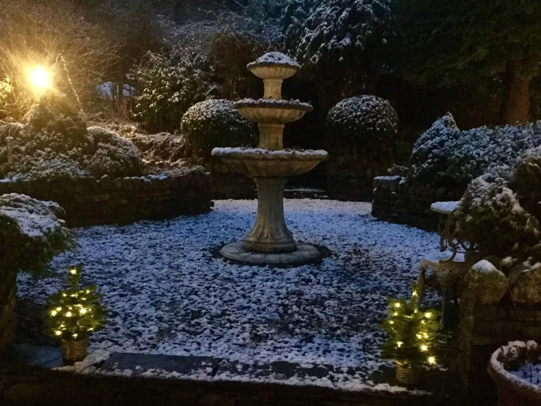 Garden in Storrs Gate House