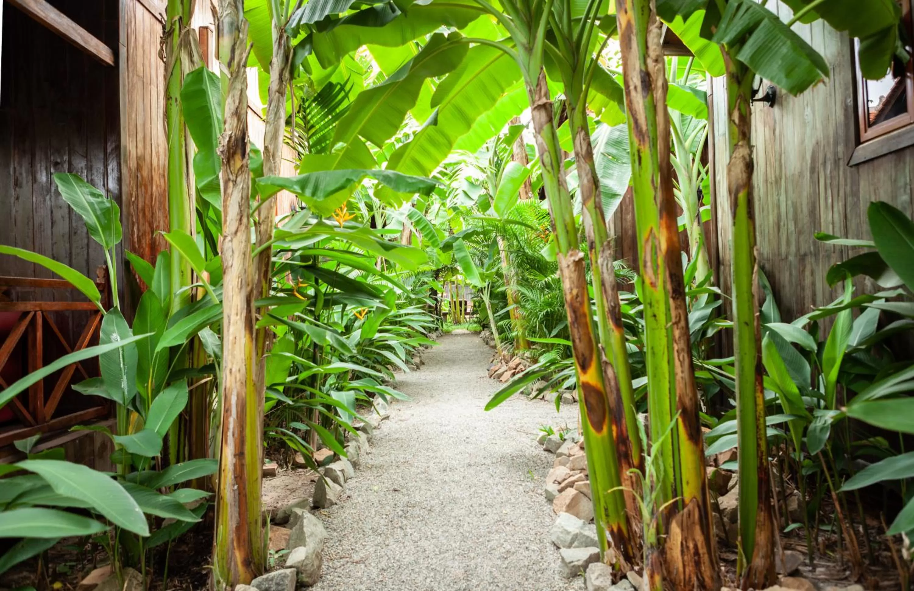 Garden in Authentic Khmer Village Resort
