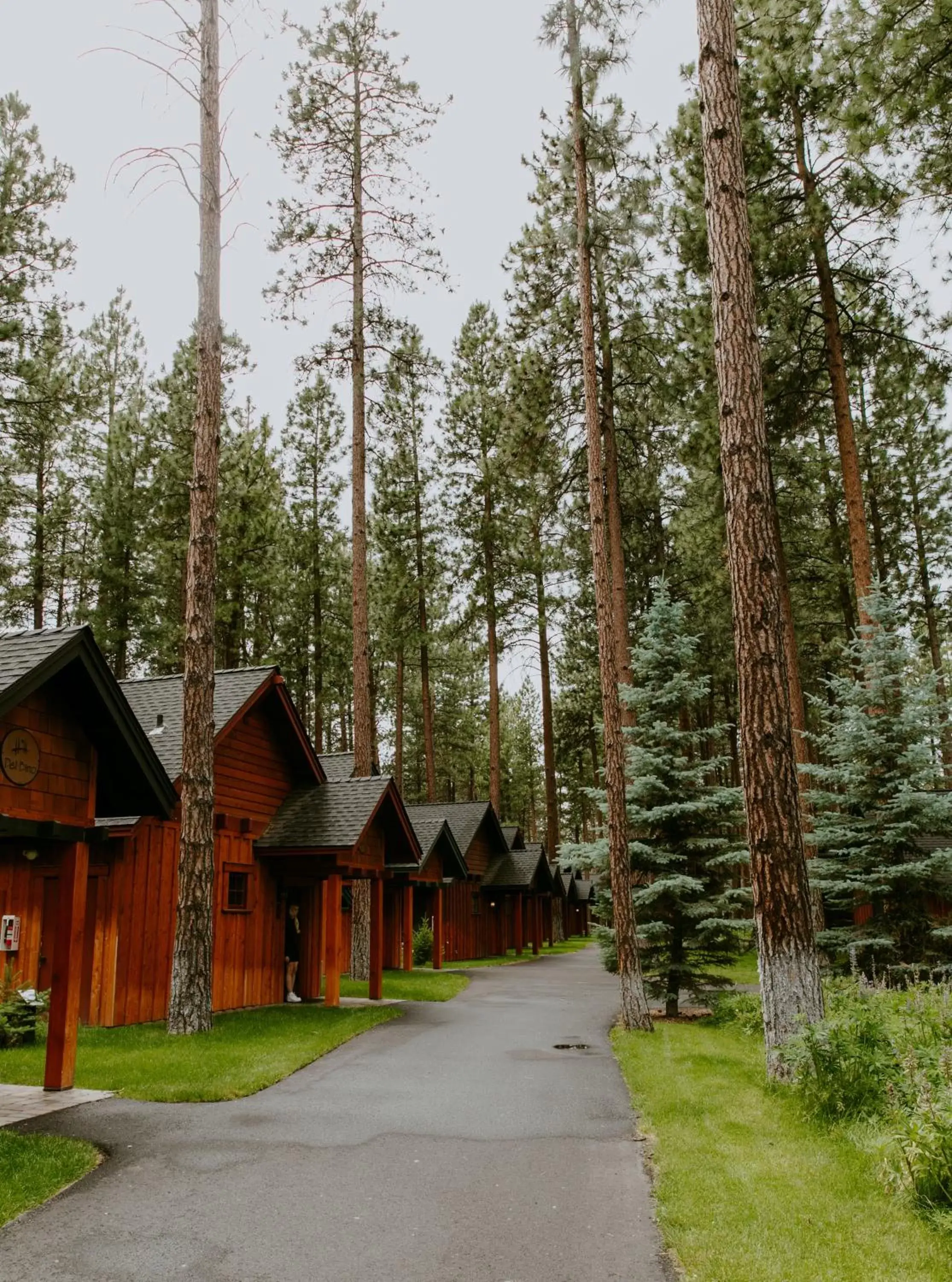 Property Building in FivePine Lodge