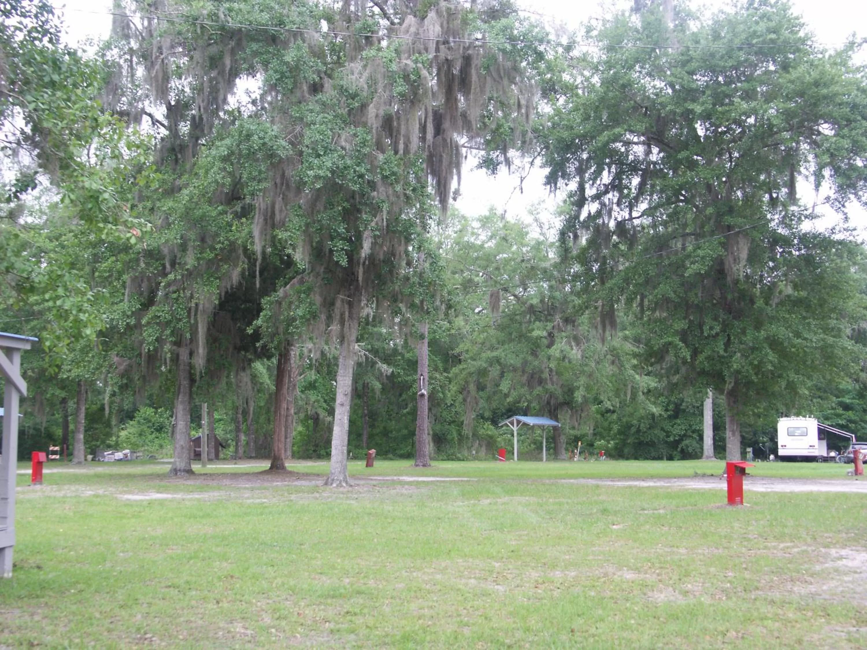 Natural landscape in Deerwood Inn & Madison Campground