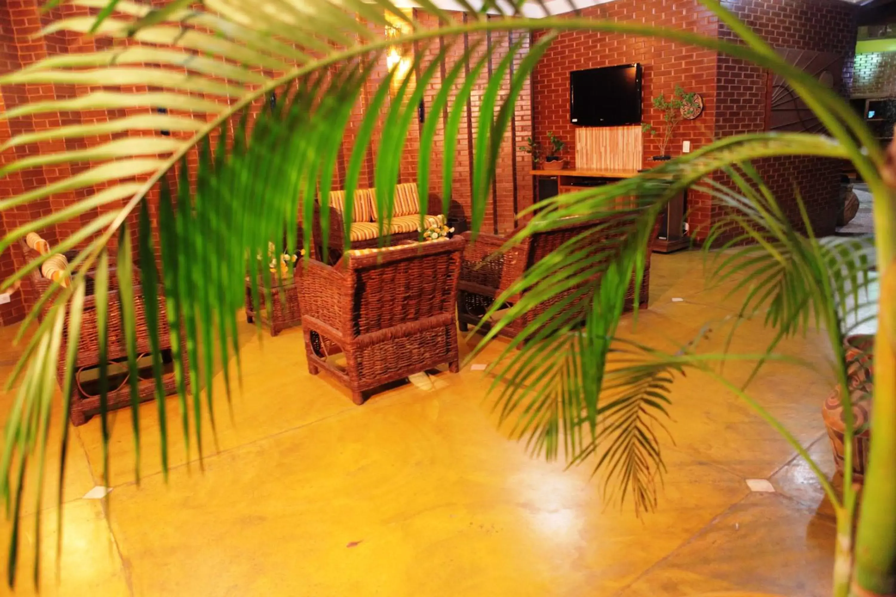 Lobby or reception, Patio/Outdoor Area in Hotel Pirá Miúna