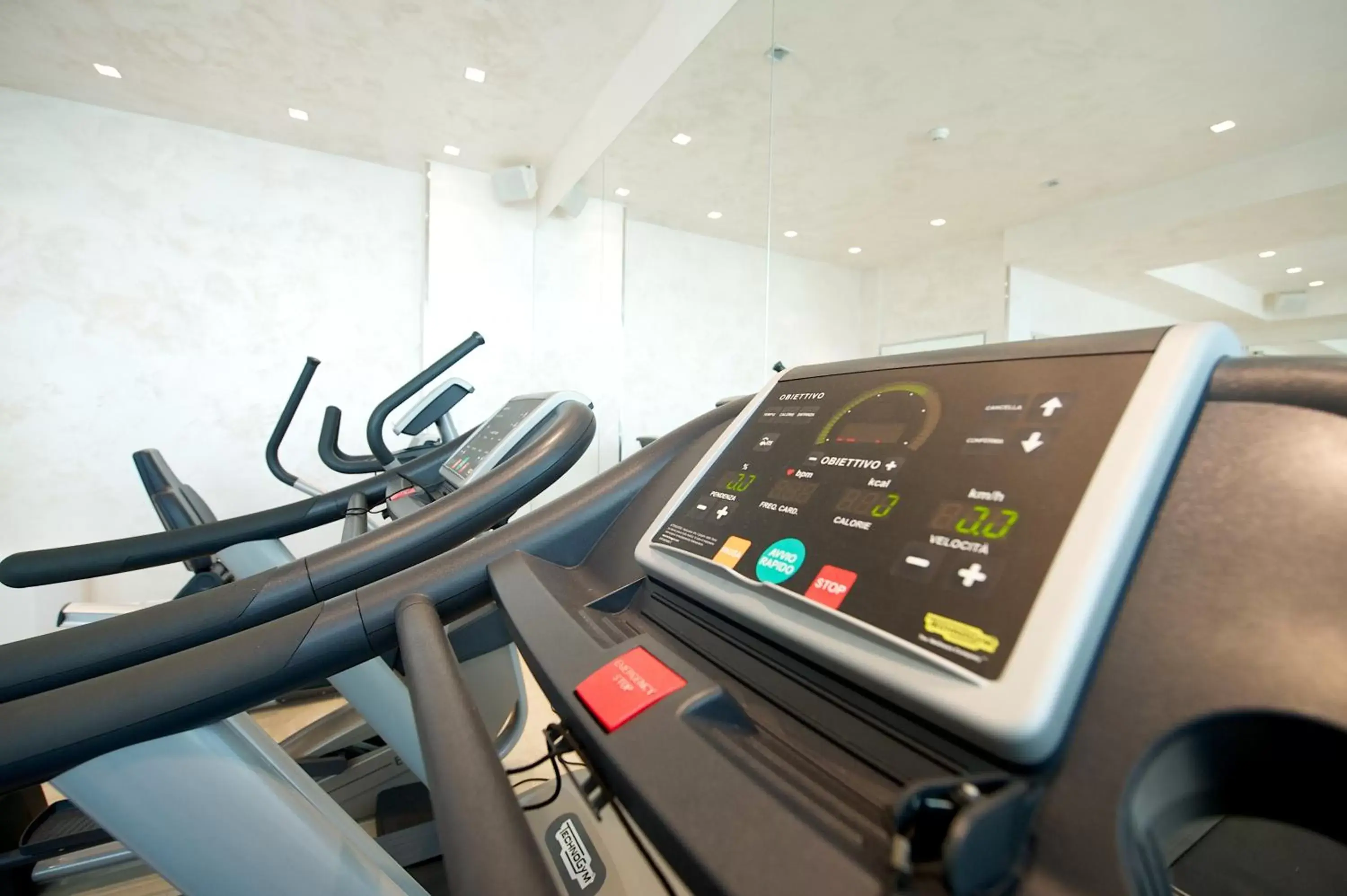 Fitness centre/facilities, Fitness Center/Facilities in Mercure Hotel Rimini Artis