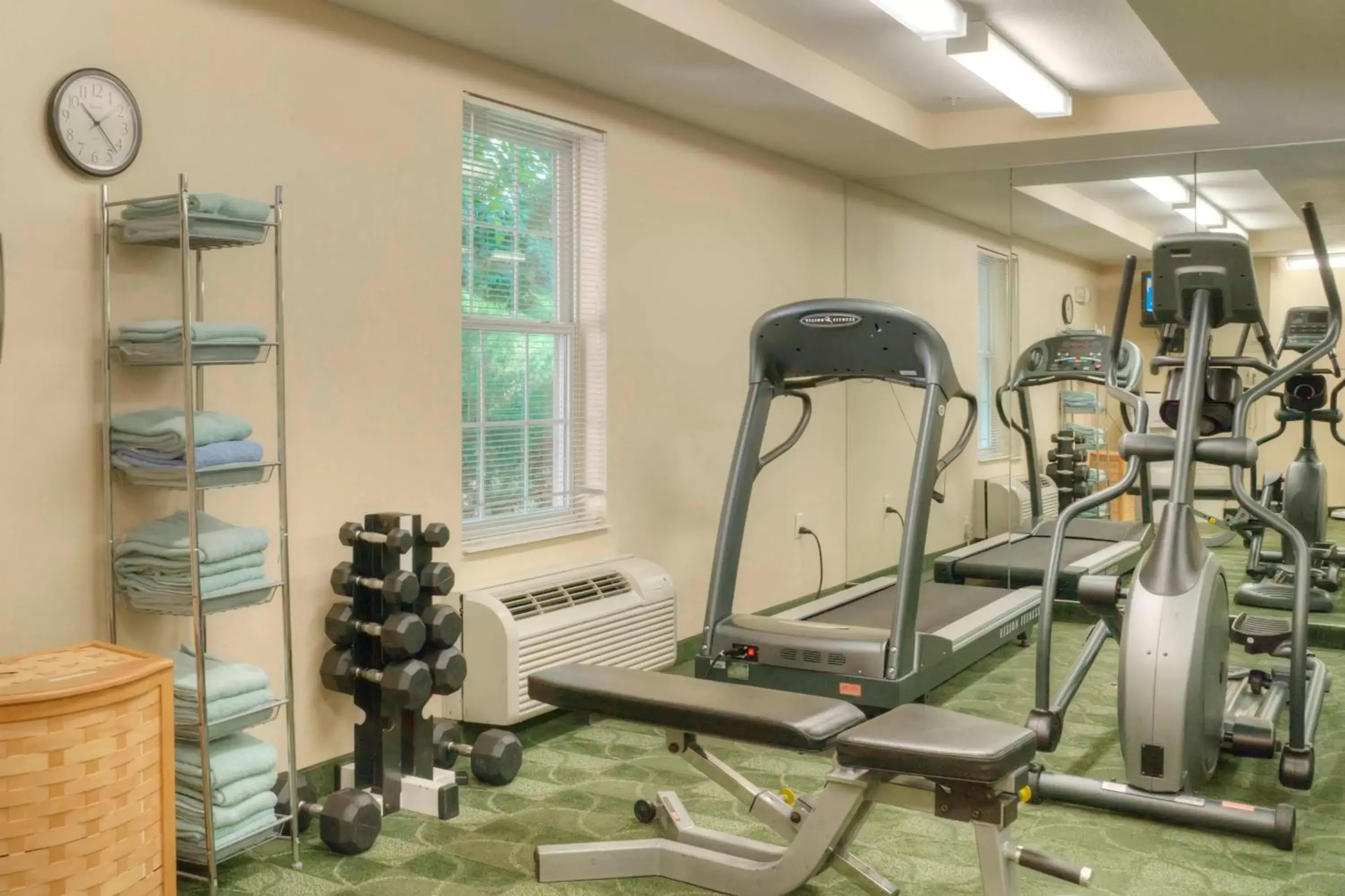 Fitness centre/facilities, Fitness Center/Facilities in TownePlace Suites Raleigh Cary/Weston Parkway