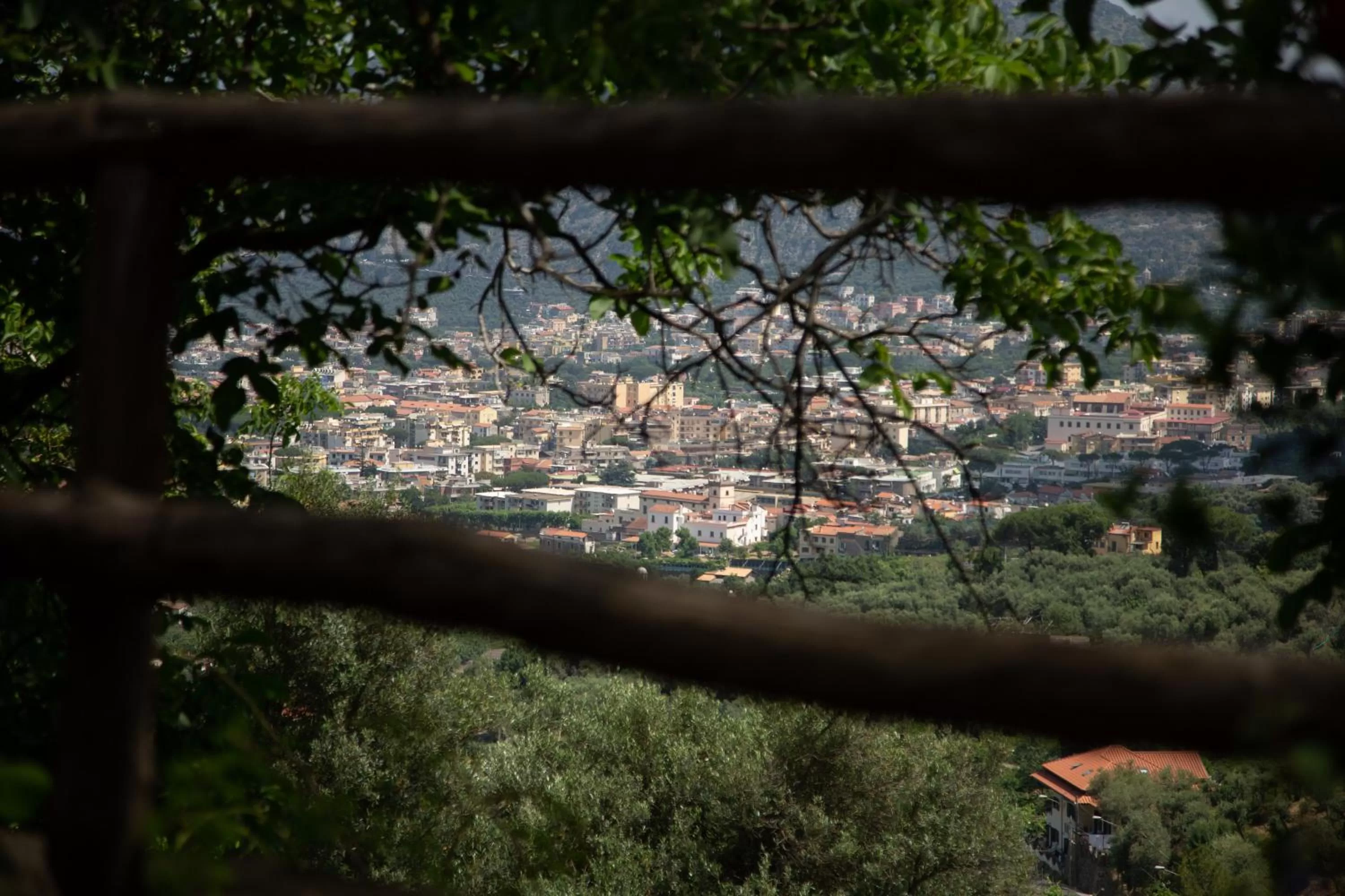 B&b L' Arancio in fiore