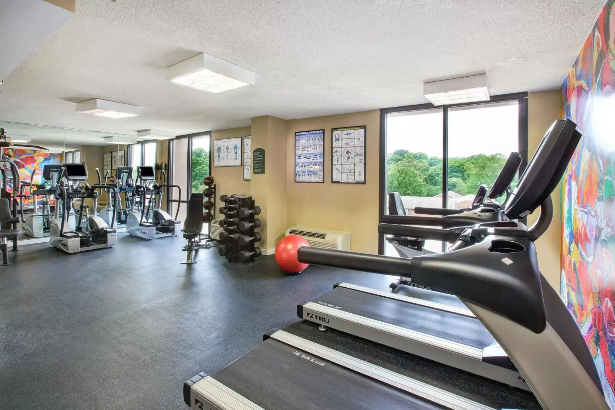 Fitness centre/facilities, Fitness Center/Facilities in Holiday Inn National Airport/Crystal City, an IHG Hotel