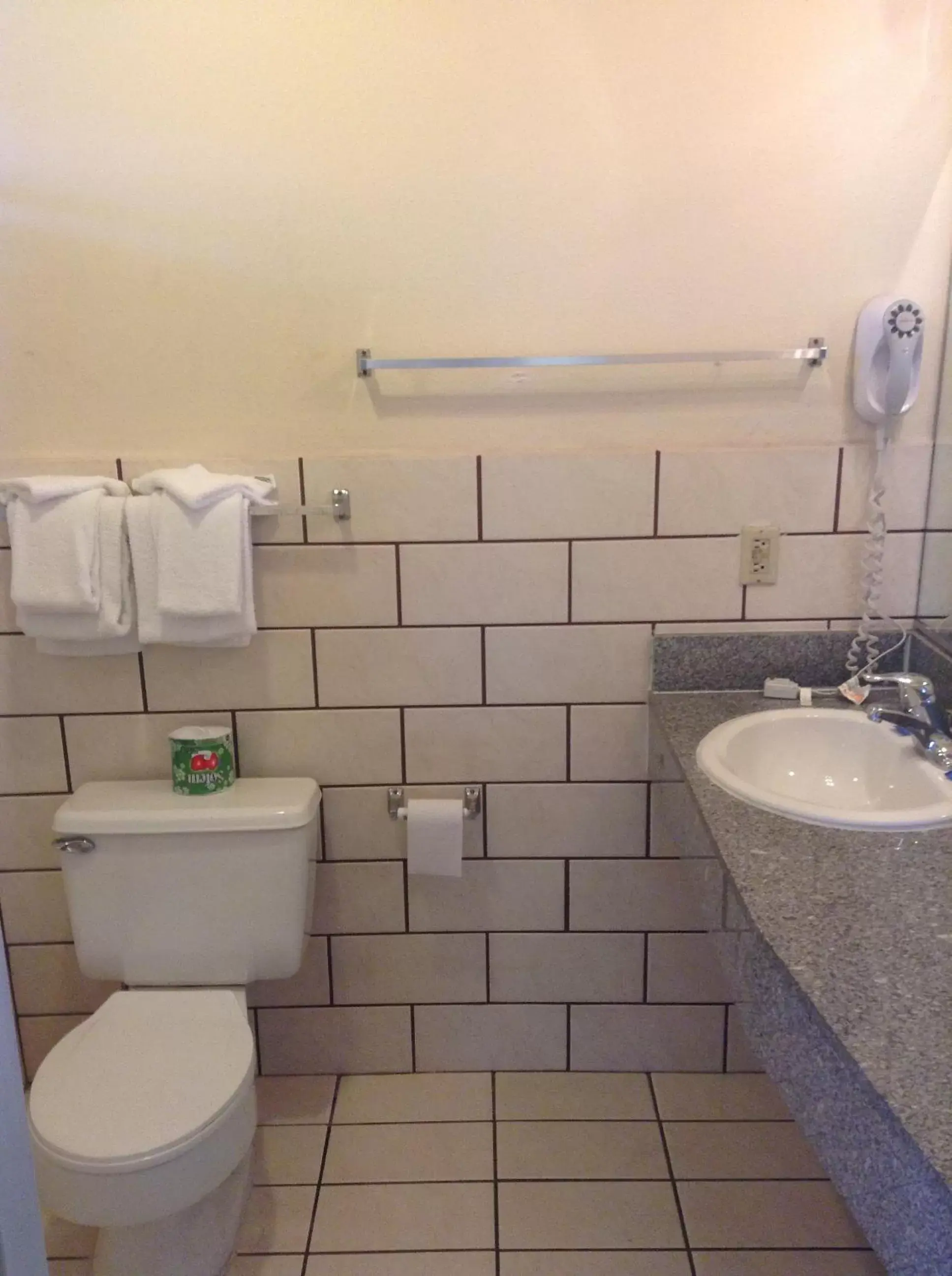 Bathroom in Big A Motel