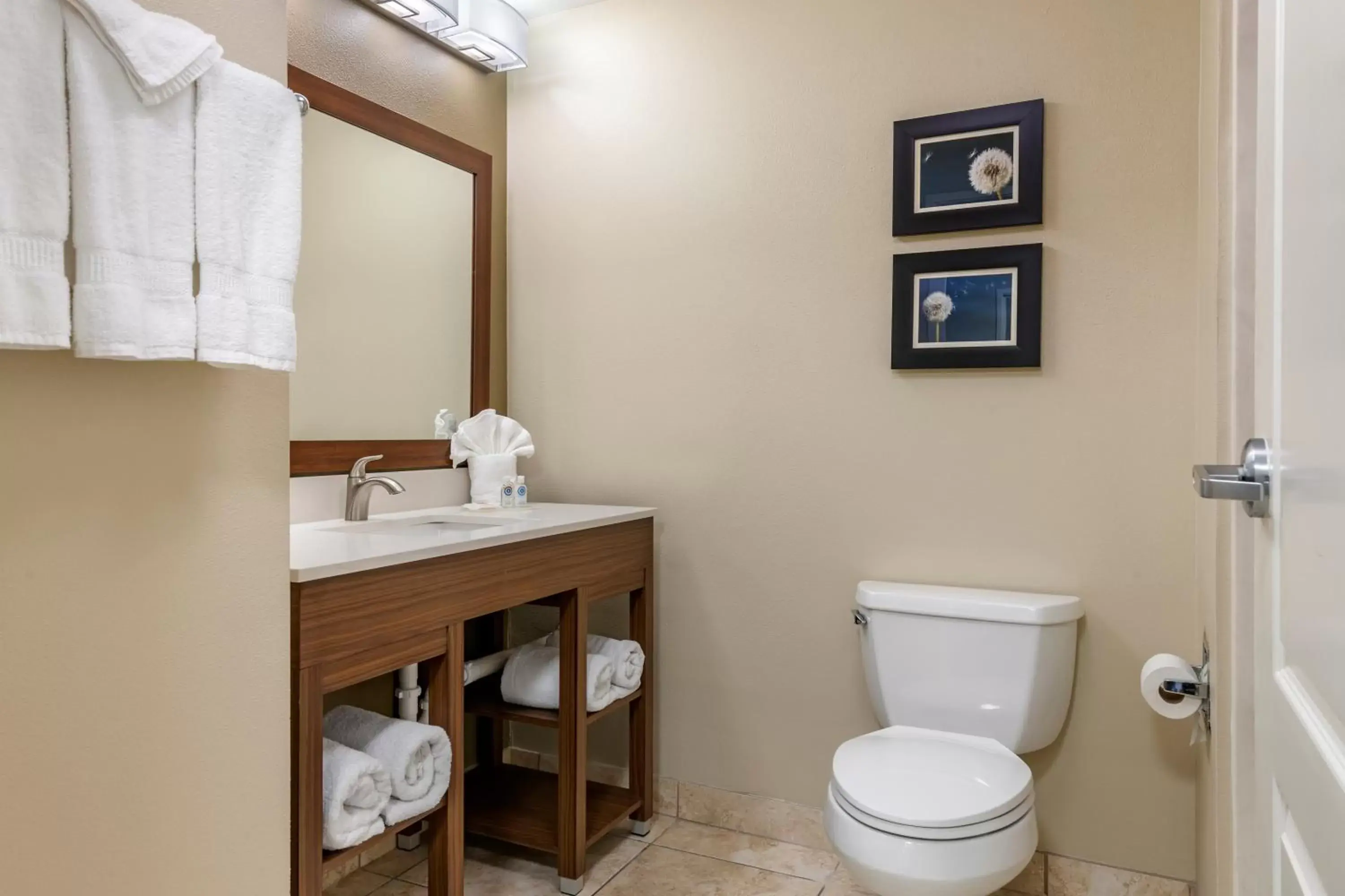 Bathroom in Comfort Inn and Suites Tifton