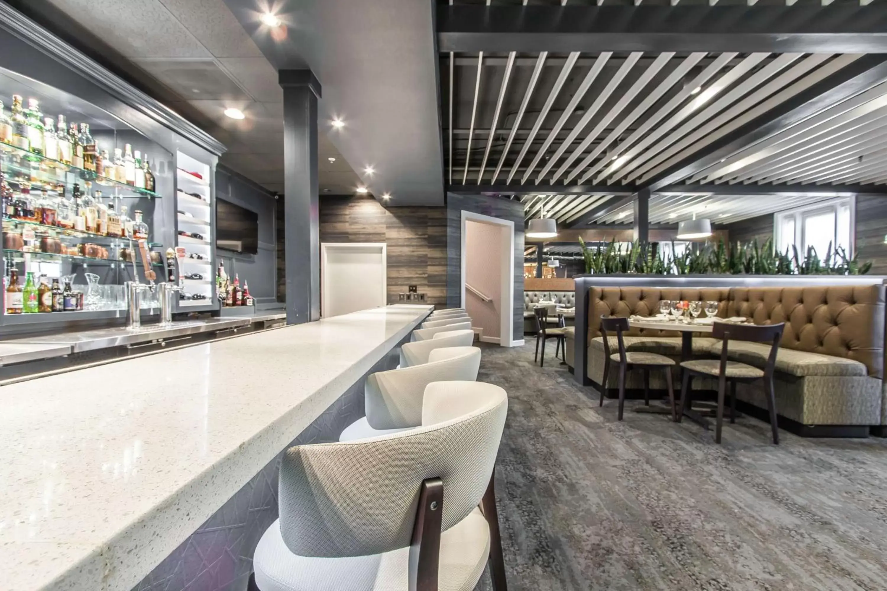 Restaurant/places to eat in The Burgundy Hotel, Tapestry Collection by Hilton Restaurant/places to eat in The Burgundy Hotel, Tapestry Collection by Hilton