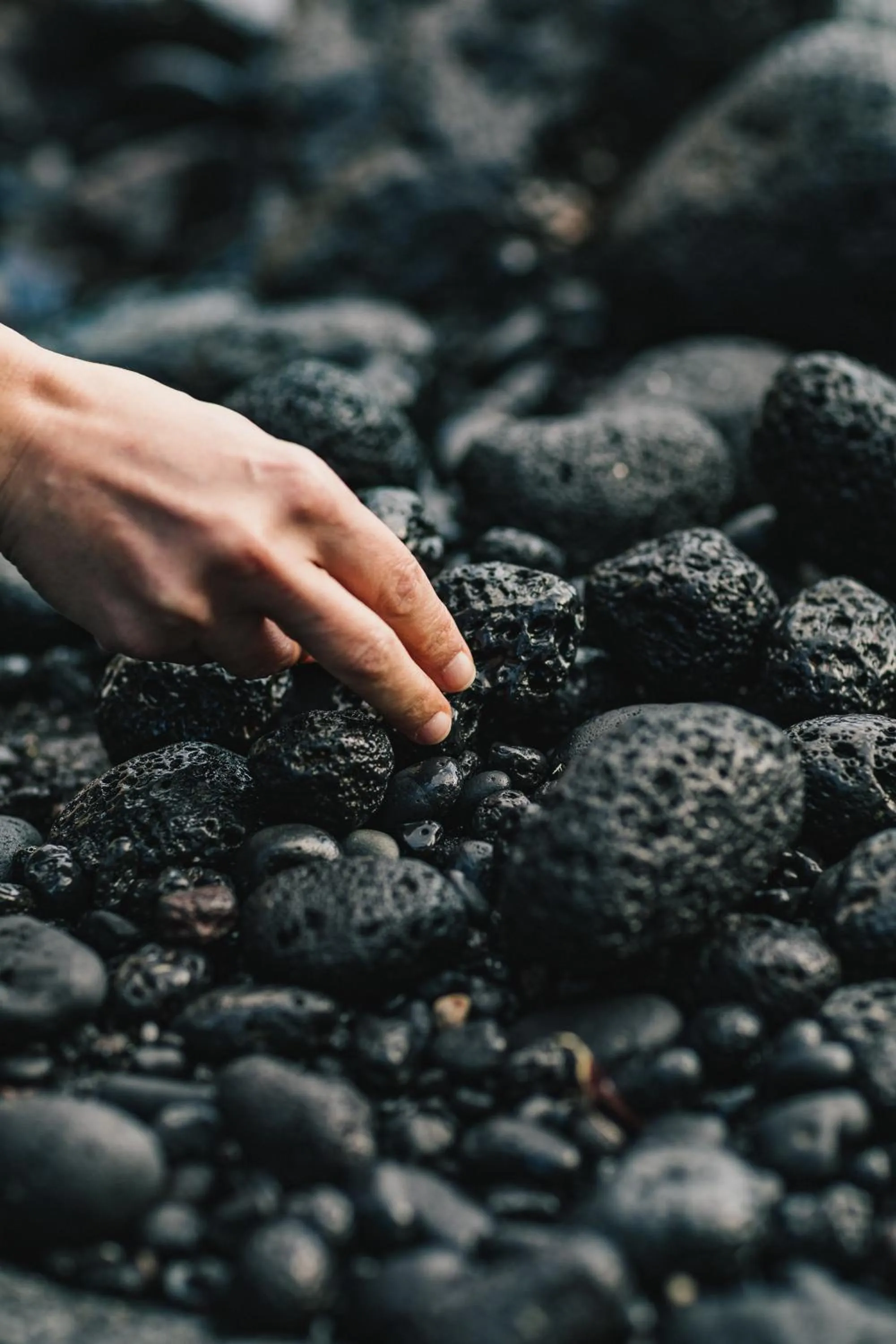 Natural landscape, Other Animals in Furnas Boutique Hotel - Thermal & Spa