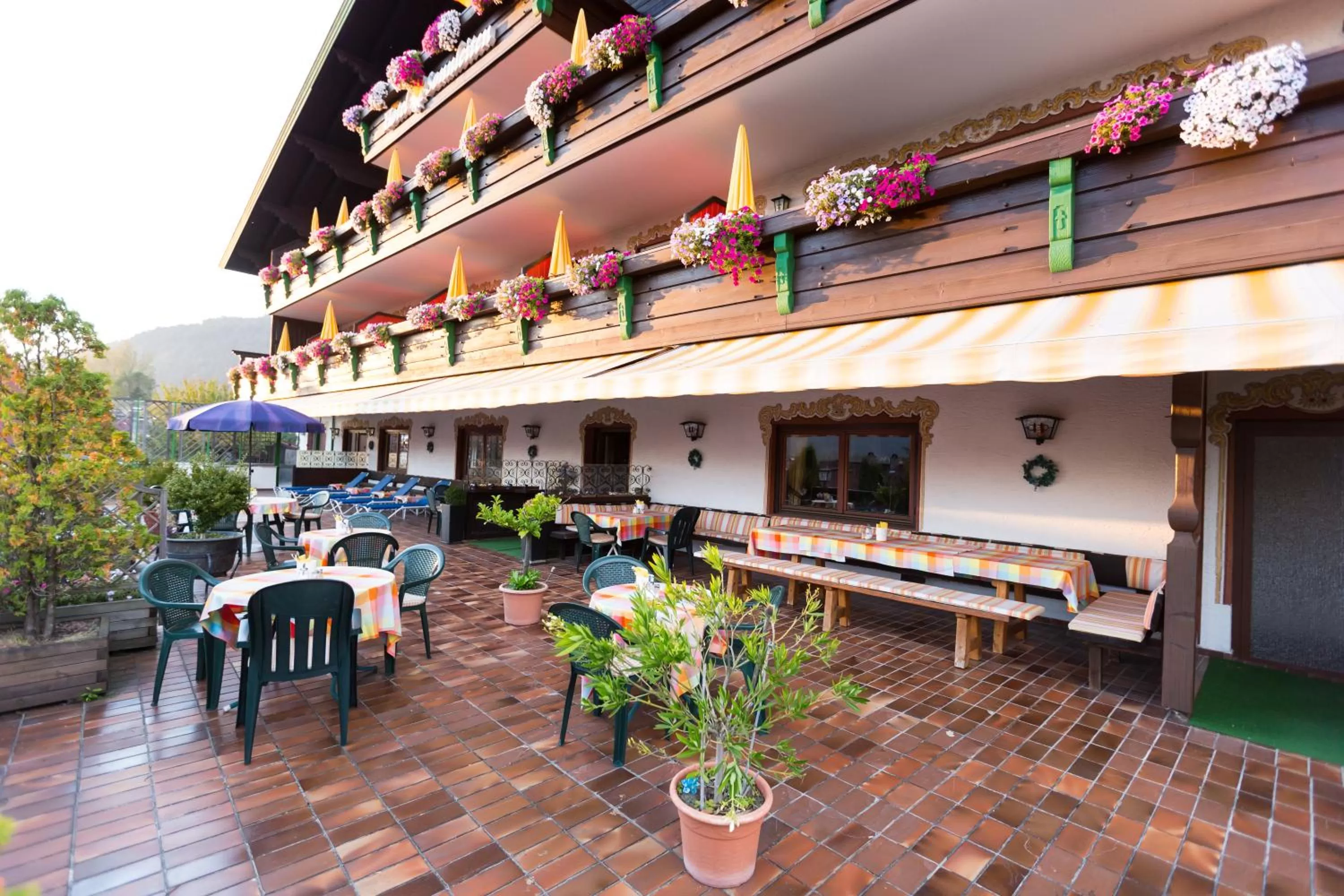 Balcony/Terrace in Hotel Sonnleiten