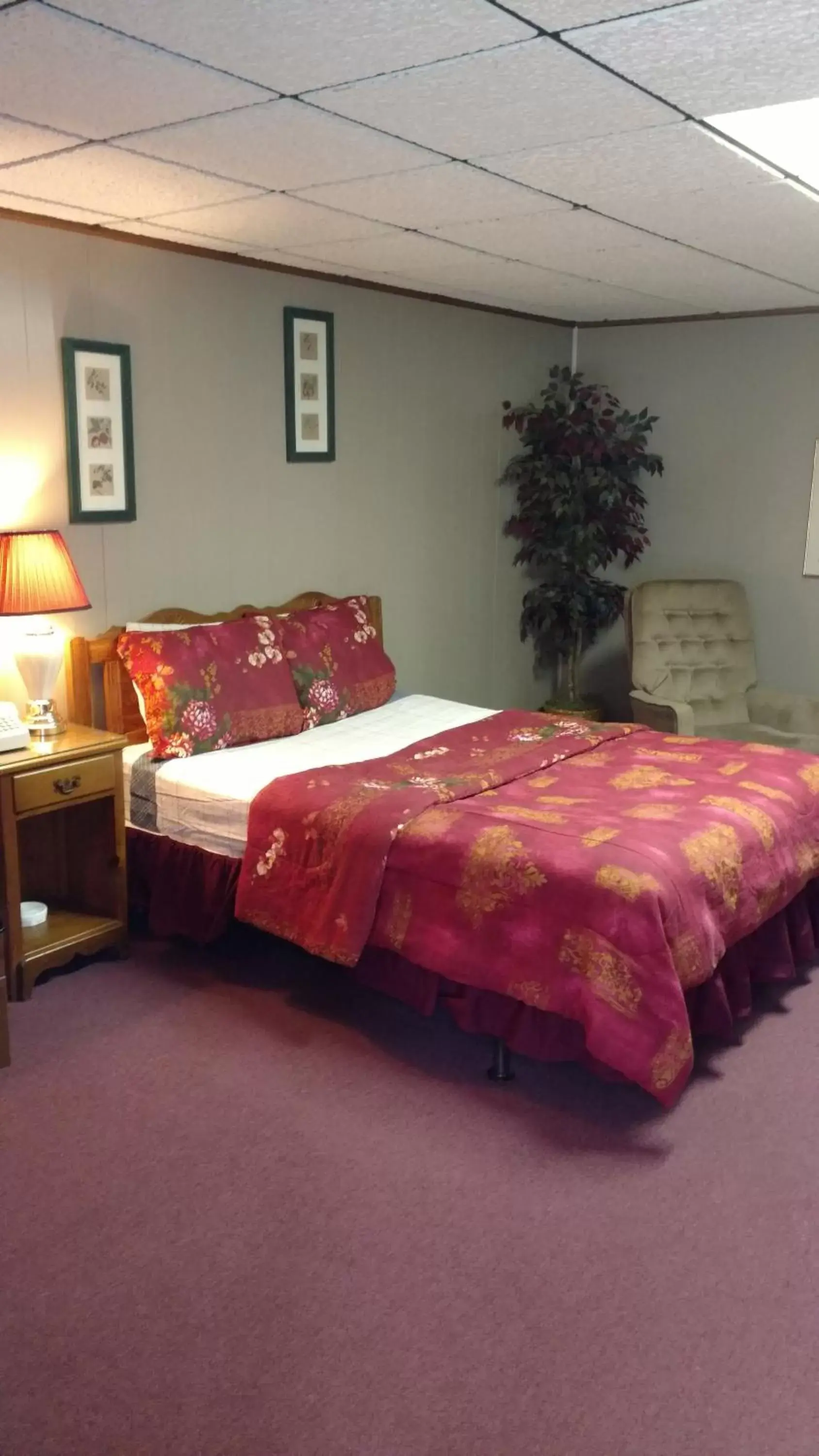 Bed in Five Star Inn - Maggie Valley