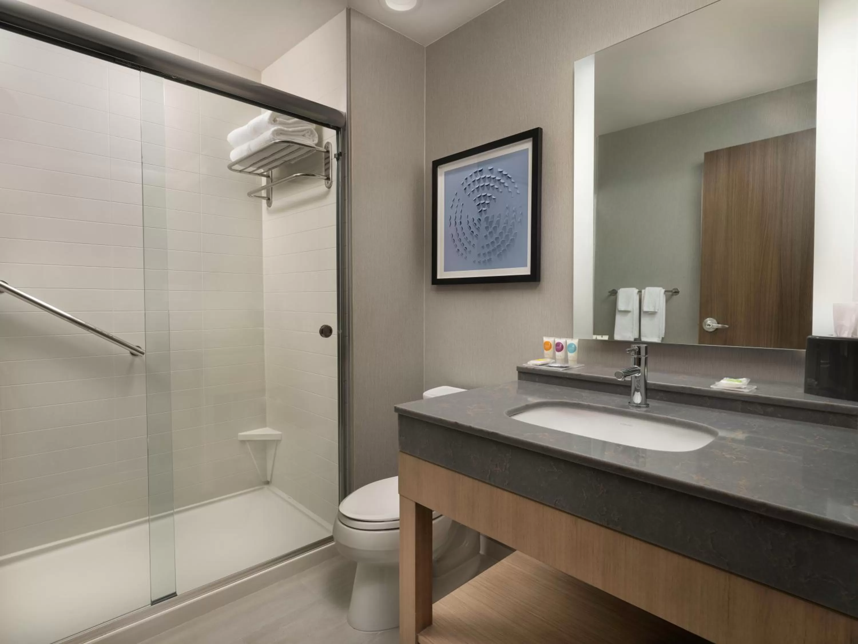 Bathroom in Hyatt Place Amarillo-West