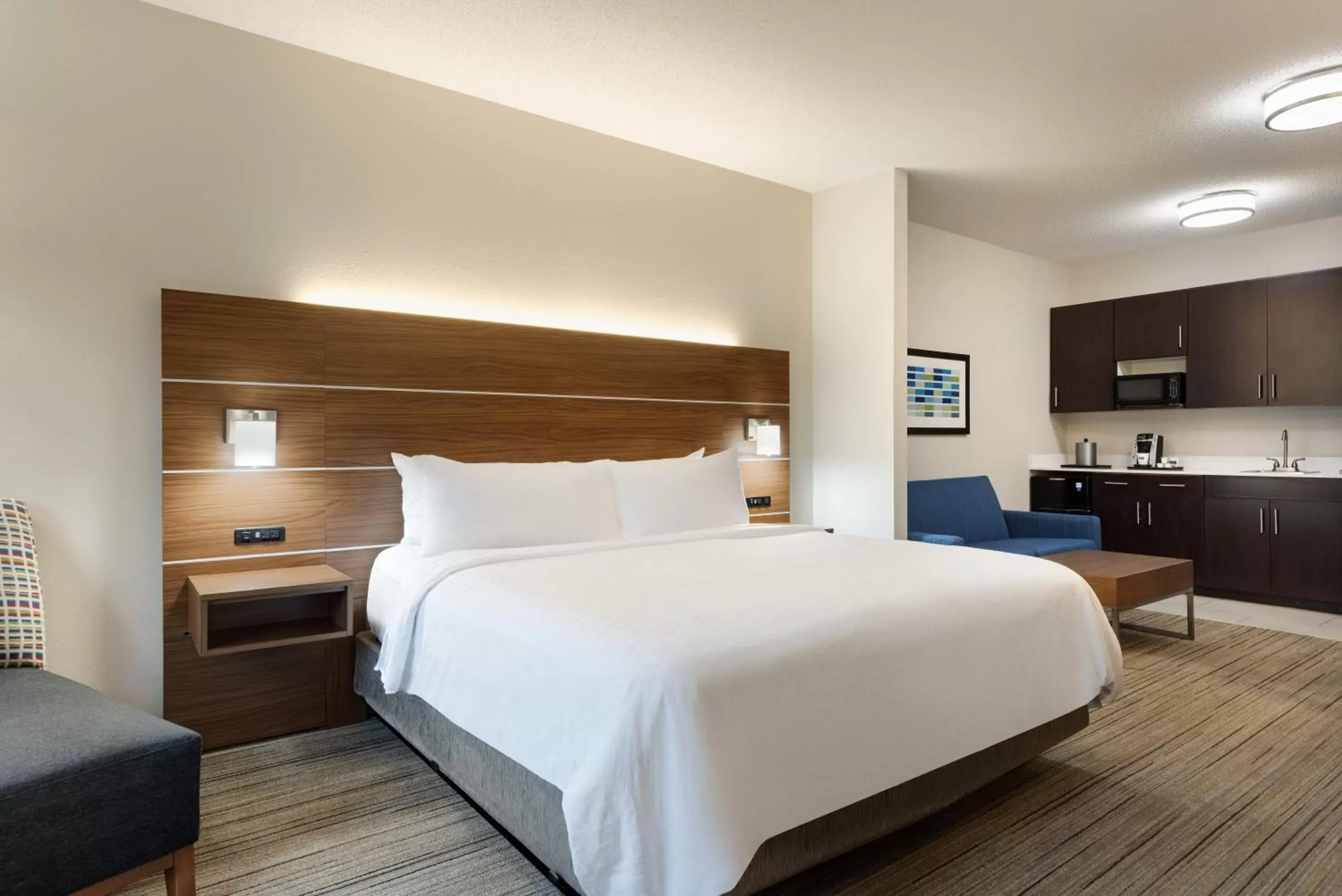 Bedroom, Bed in Holiday Inn Express Hotel & Suites Opelika Auburn, an IHG Hotel