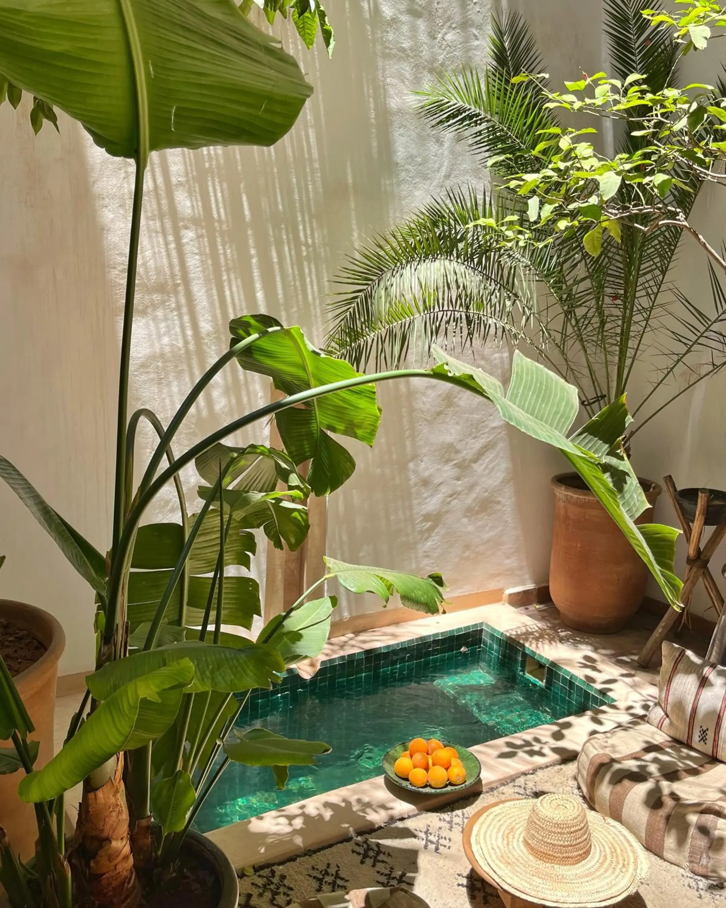 Garden, Swimming Pool in Riad Dar Zaman