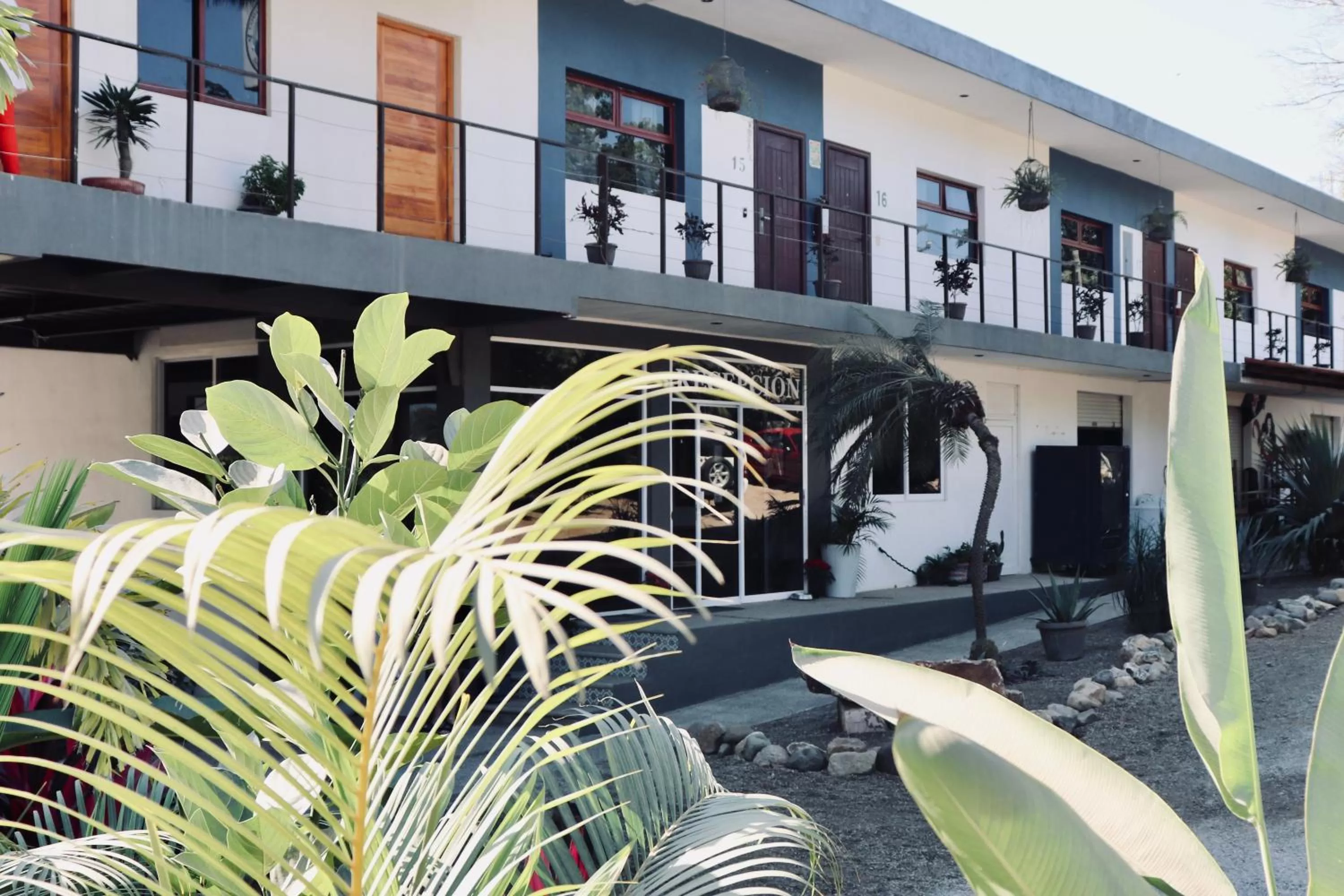 Property building in Hotel Samanu