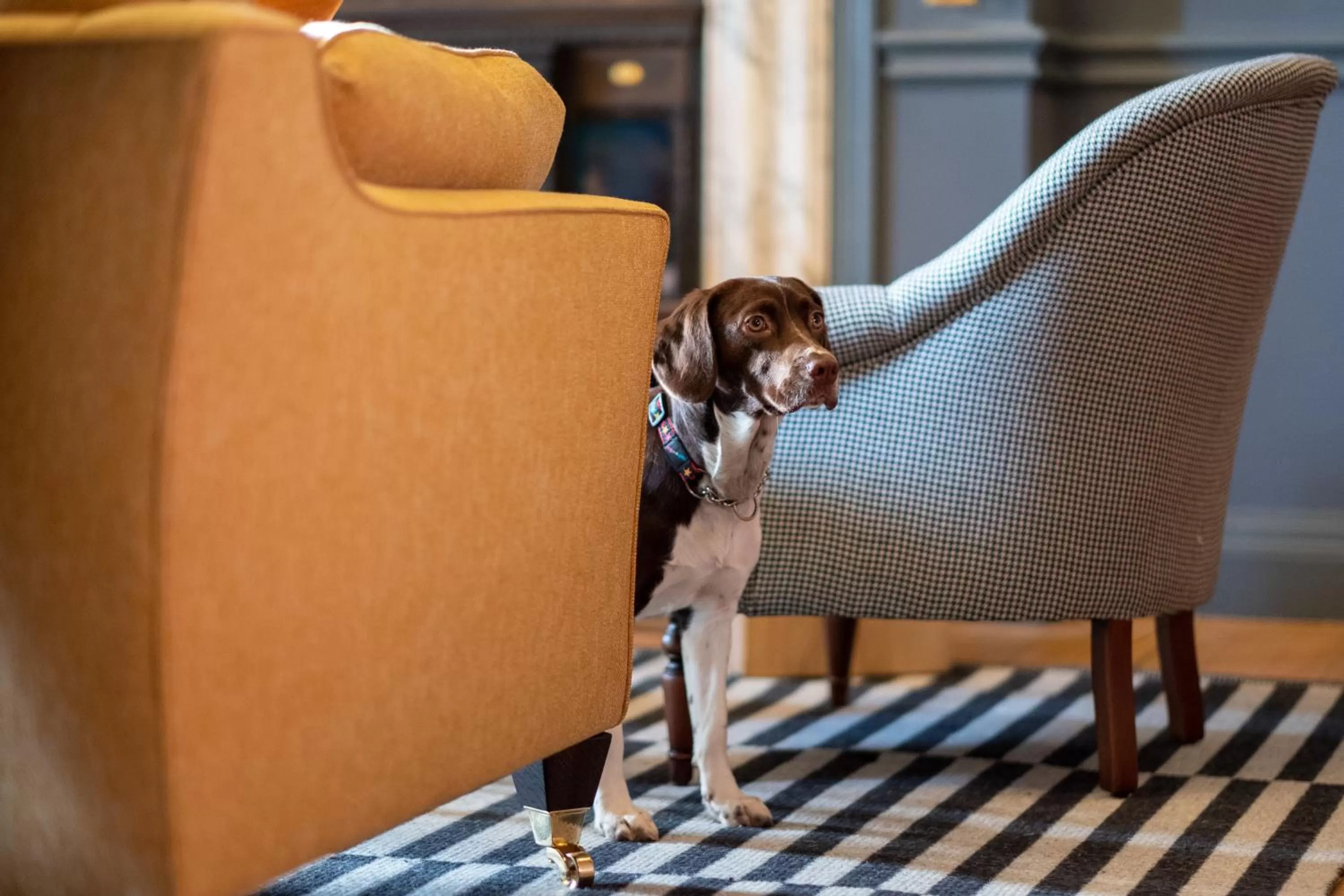 Living room in Fowey Hall Hotel