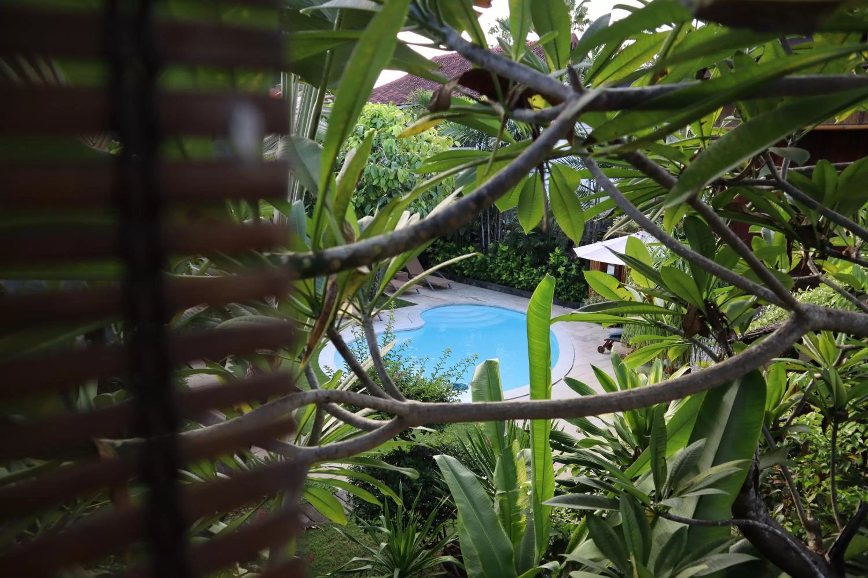 Pondok Agung Bed & Breakfast