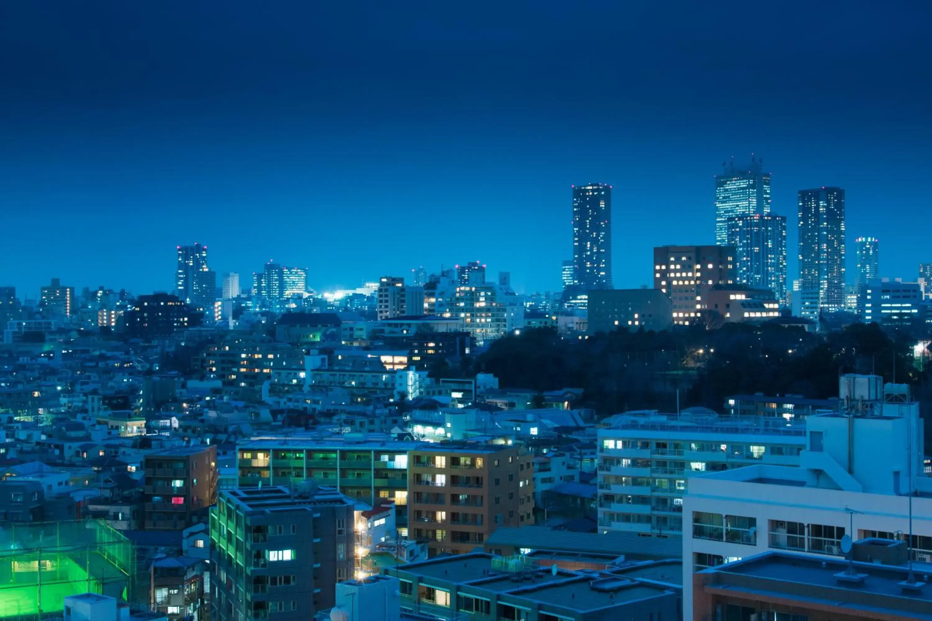 City view in Rihga Royal Hotel Tokyo