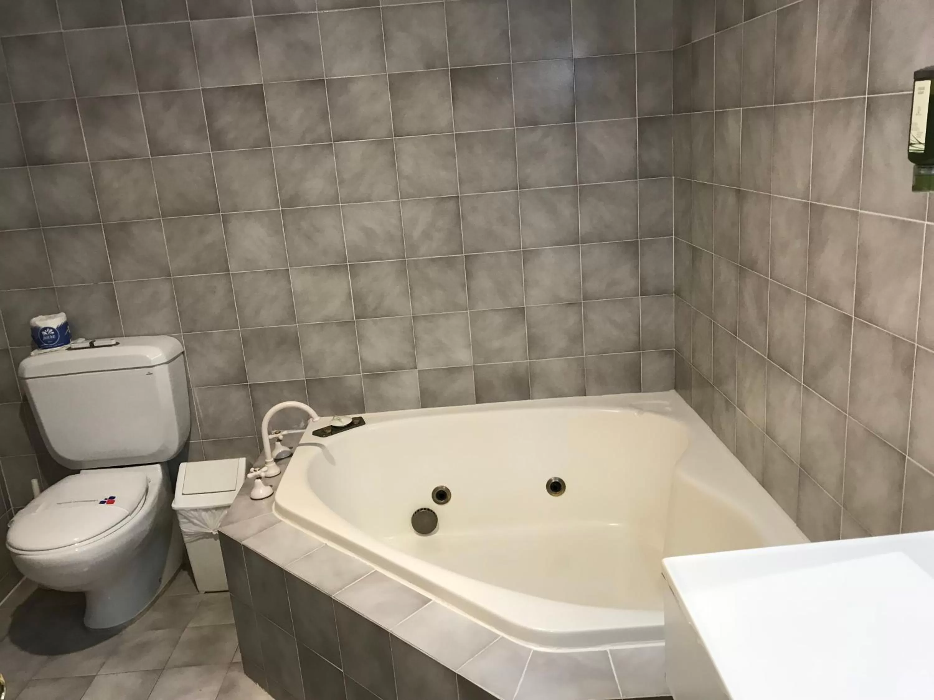 Bathroom in Tea Gardens Motel