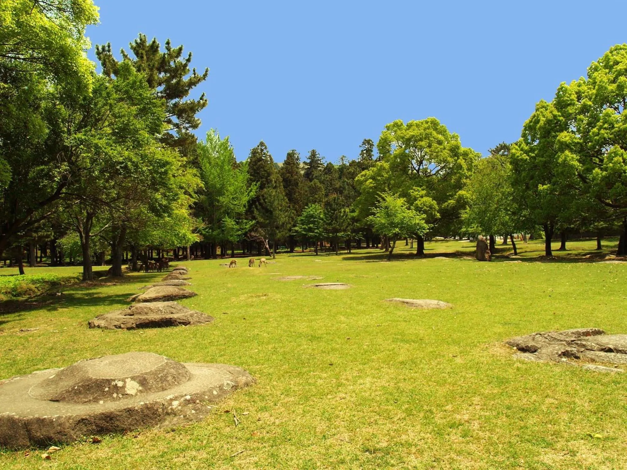 Off site in Guesthouse Nara Komachi