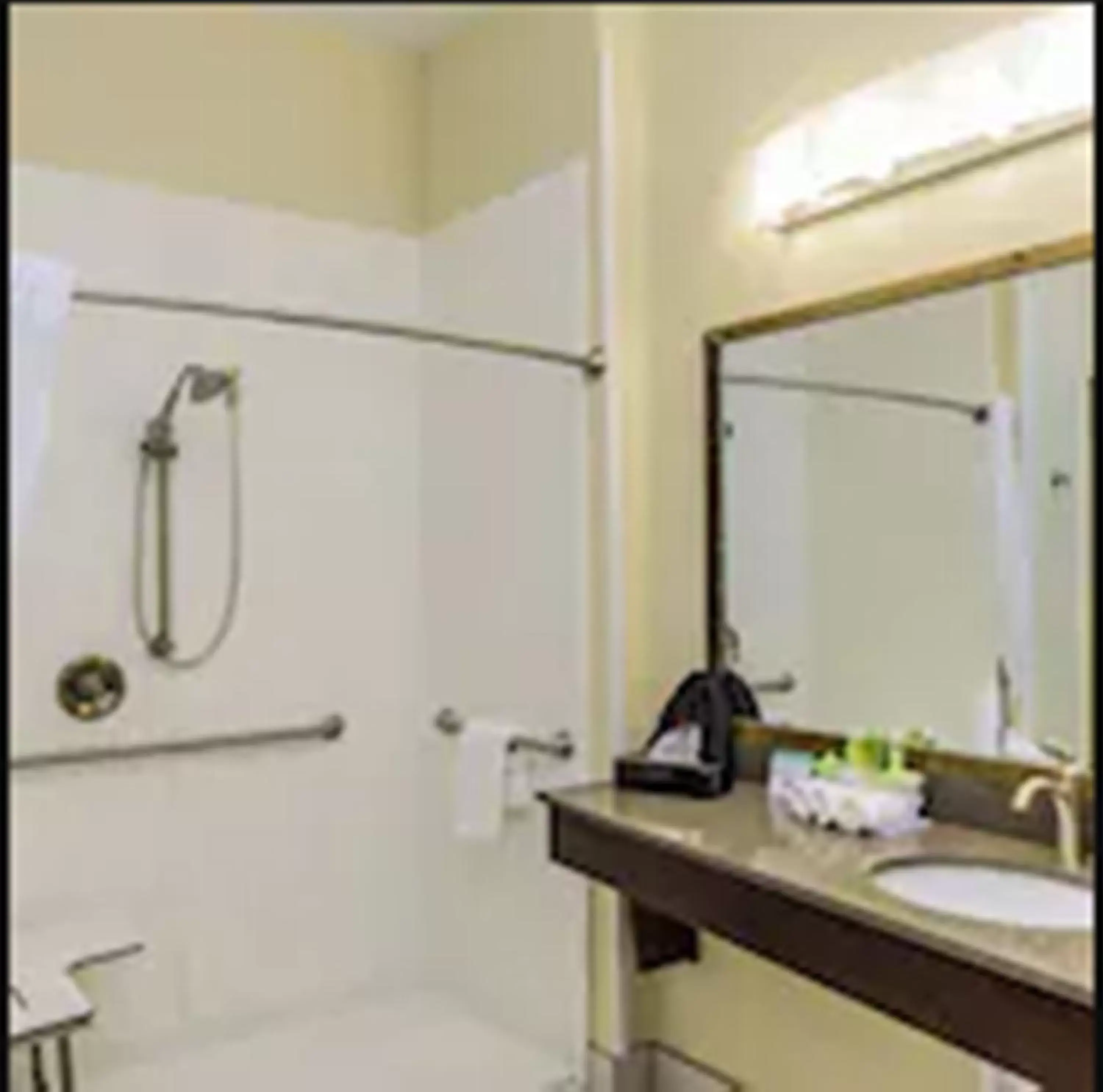 Shower, Bathroom in Holiday Inn Express & Suites Cheektowaga North East, an IHG Hotel