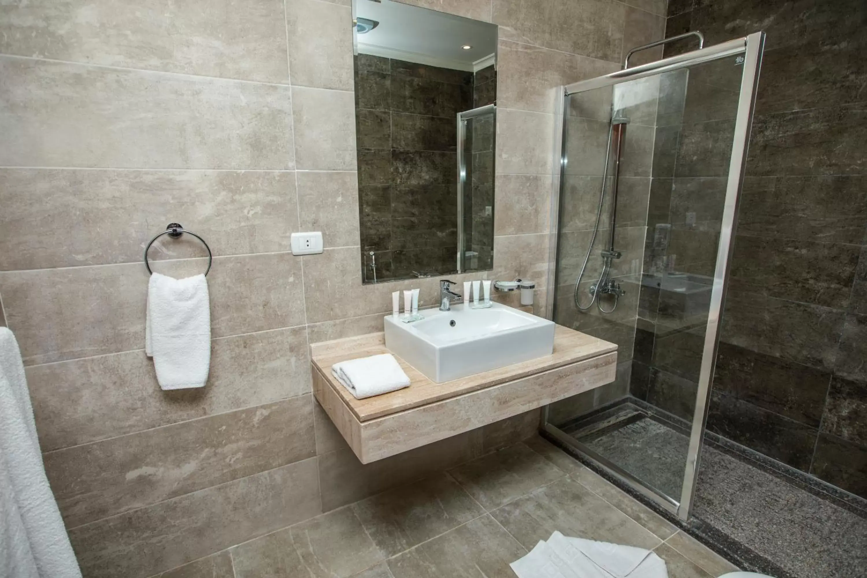 Bathroom in AIFU Hotel El Montazah Alexandria