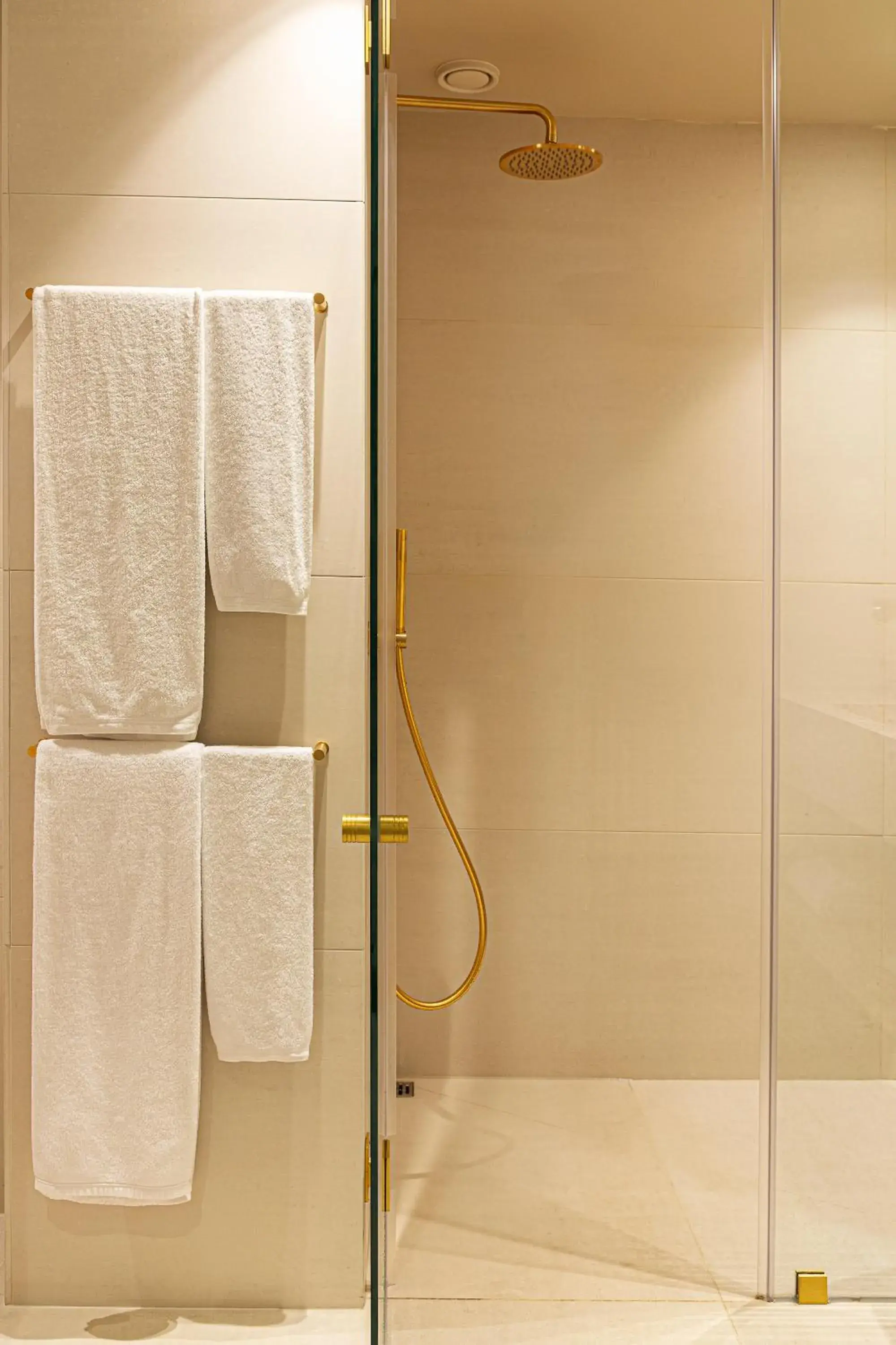 Shower, Bathroom in Eurotel Altura